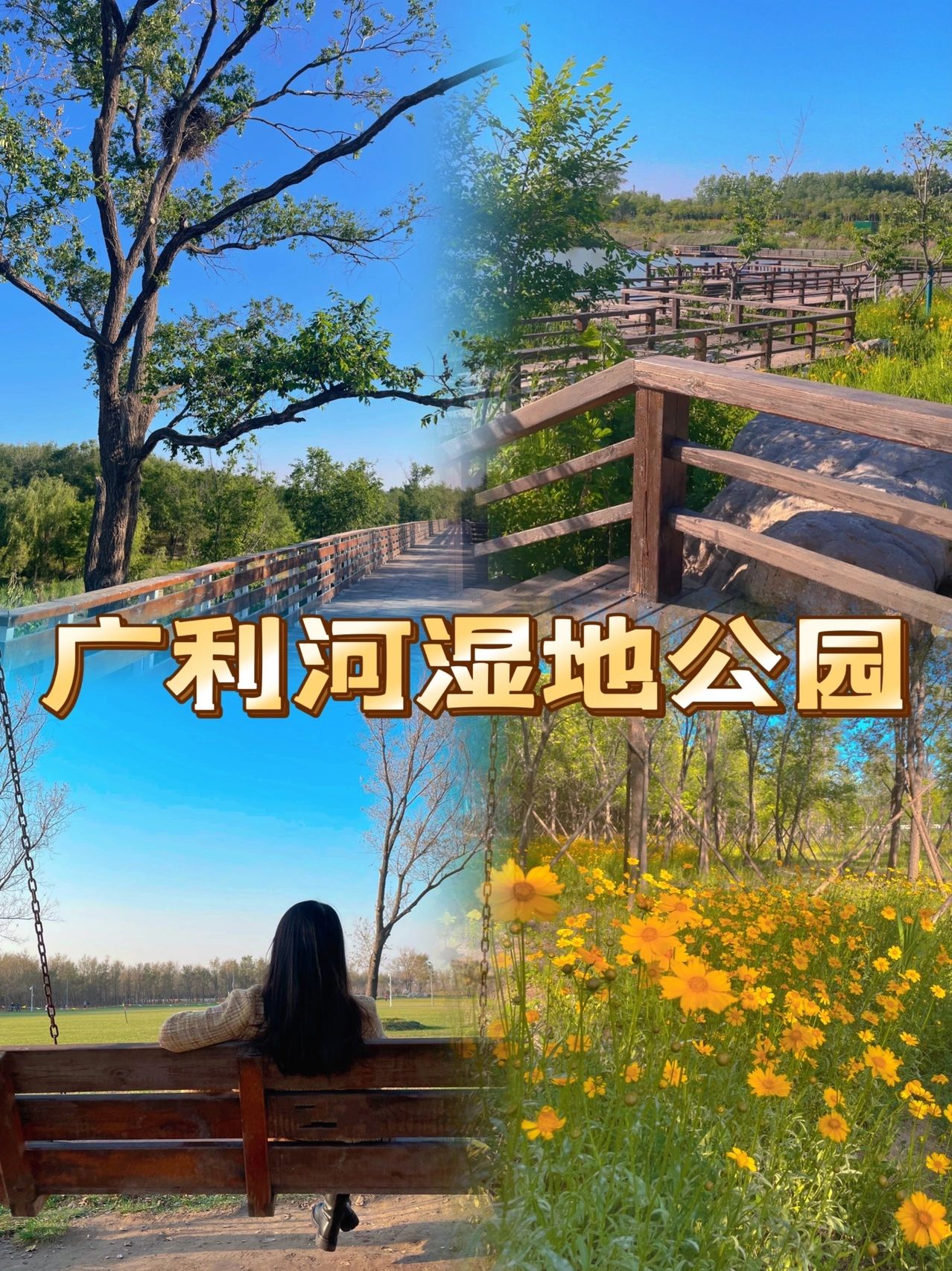 广利河森林湿地公园旅行图片
