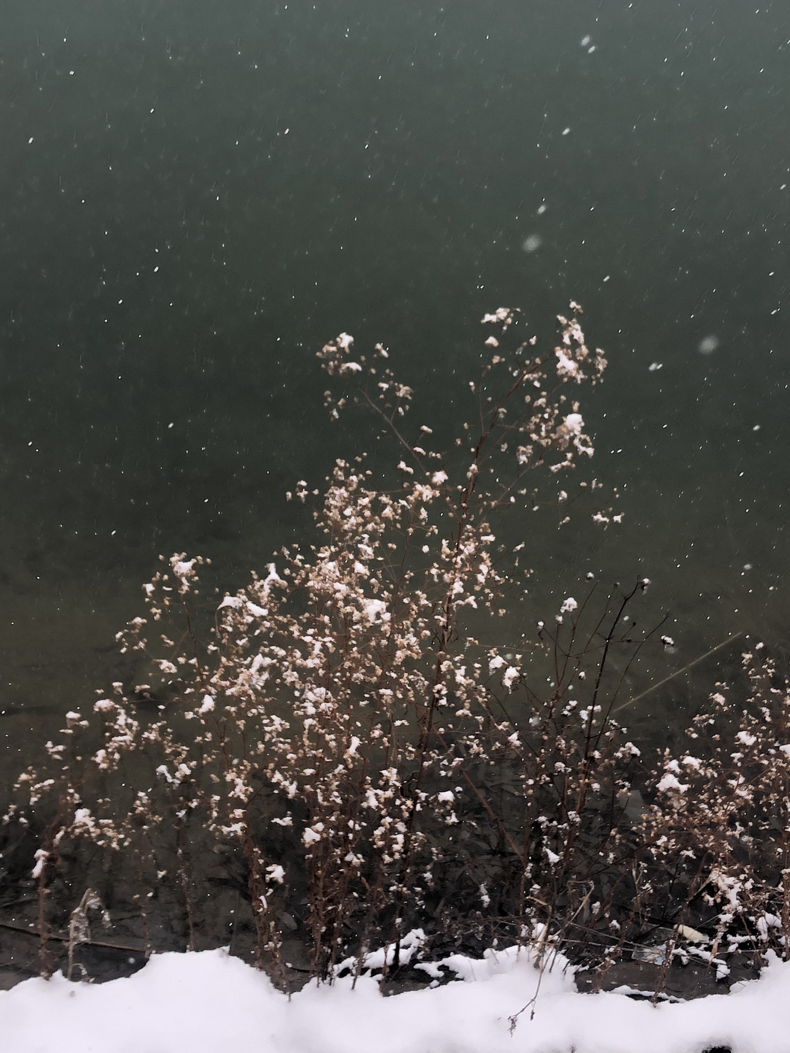 白家湾滨水公园
