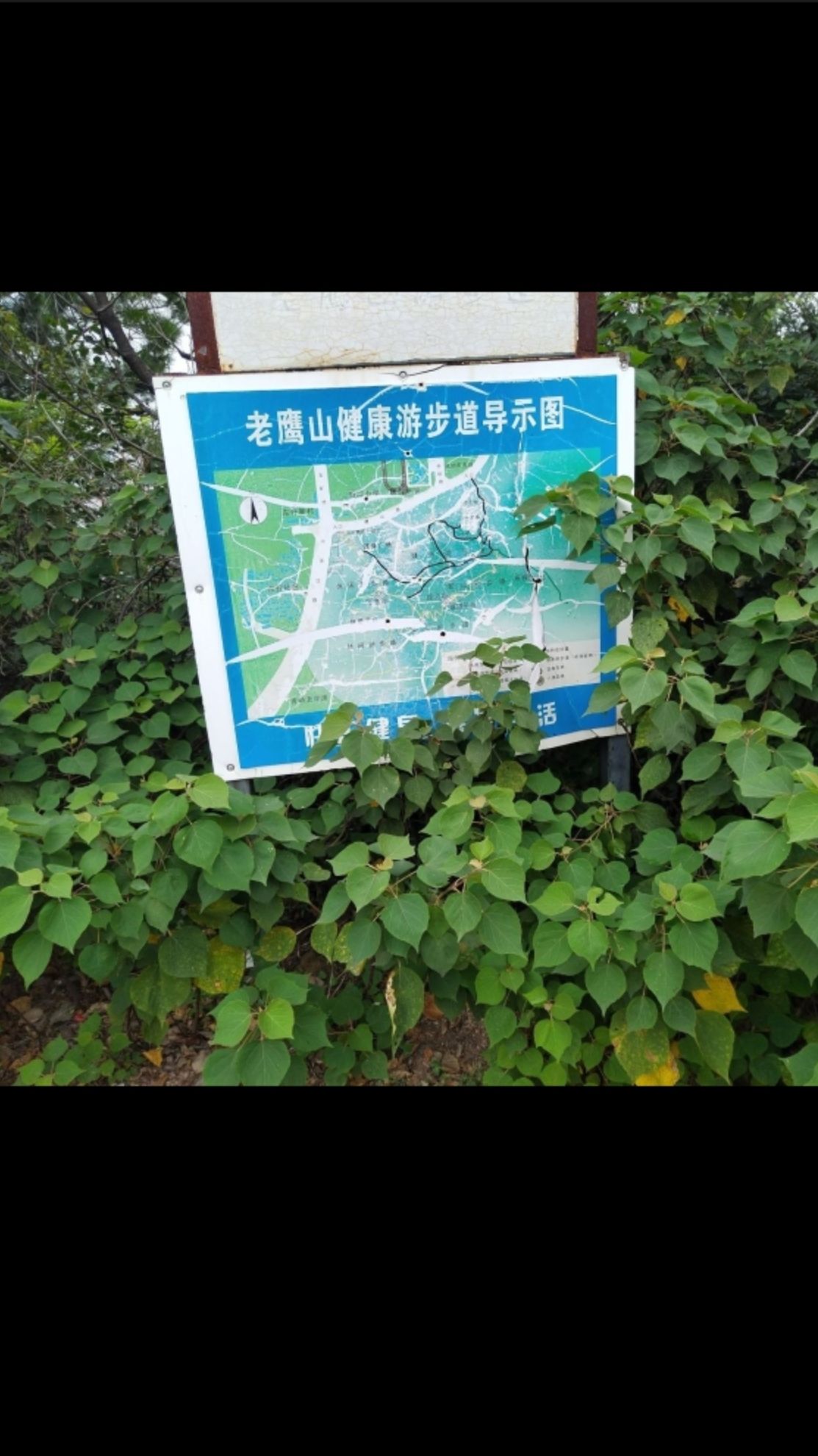 老鹰山游步道