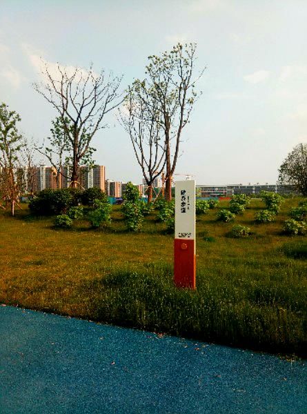 九龙湖公园旅行图片