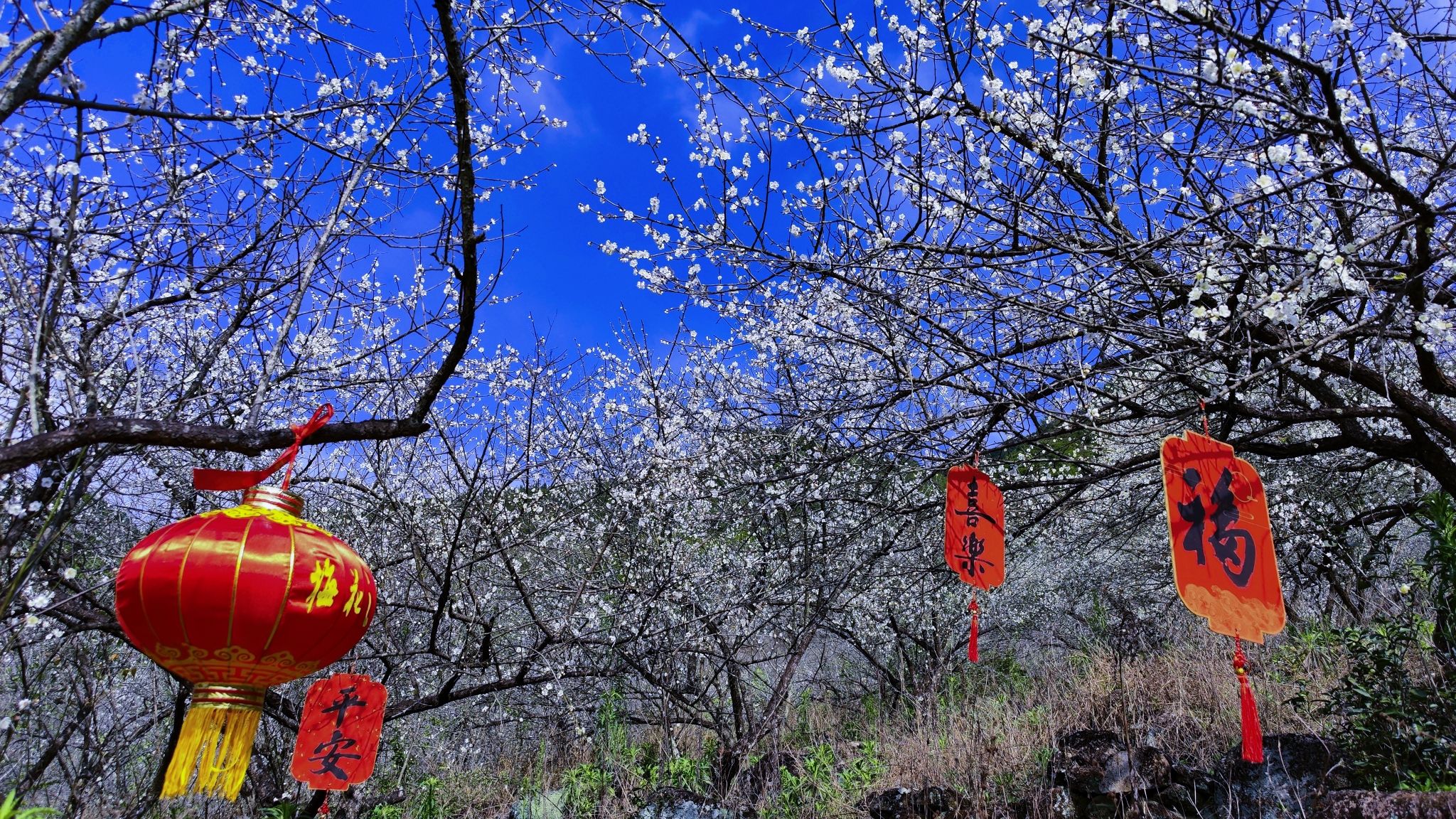 老仙洞风景区旅行图片