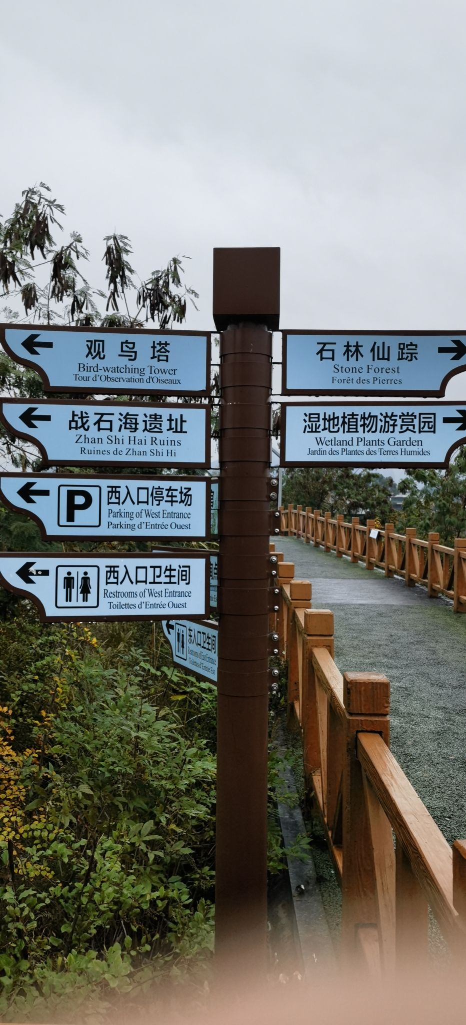 广西都安澄江湿地公园旅行图片