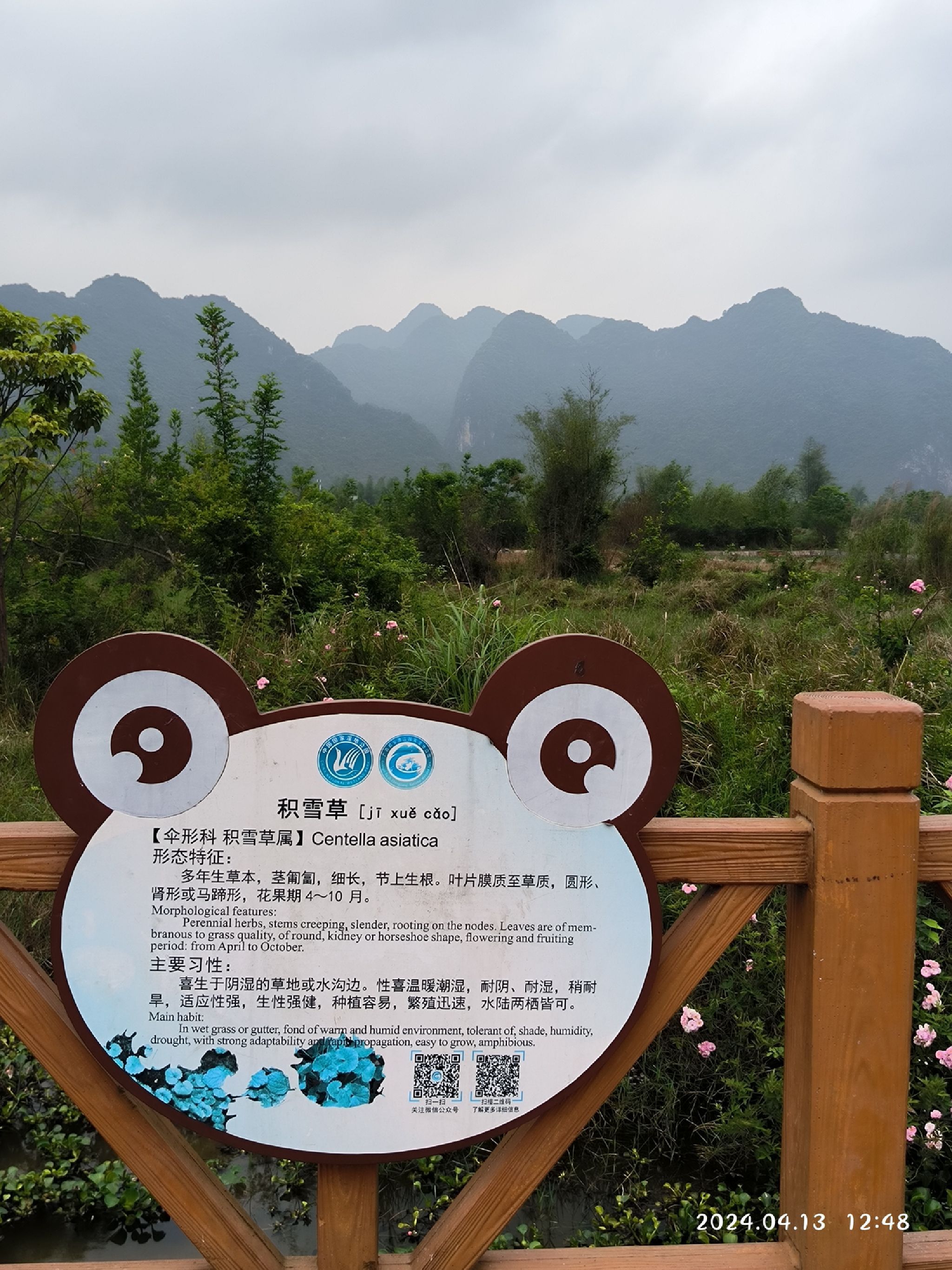 广西都安澄江湿地公园旅行图片