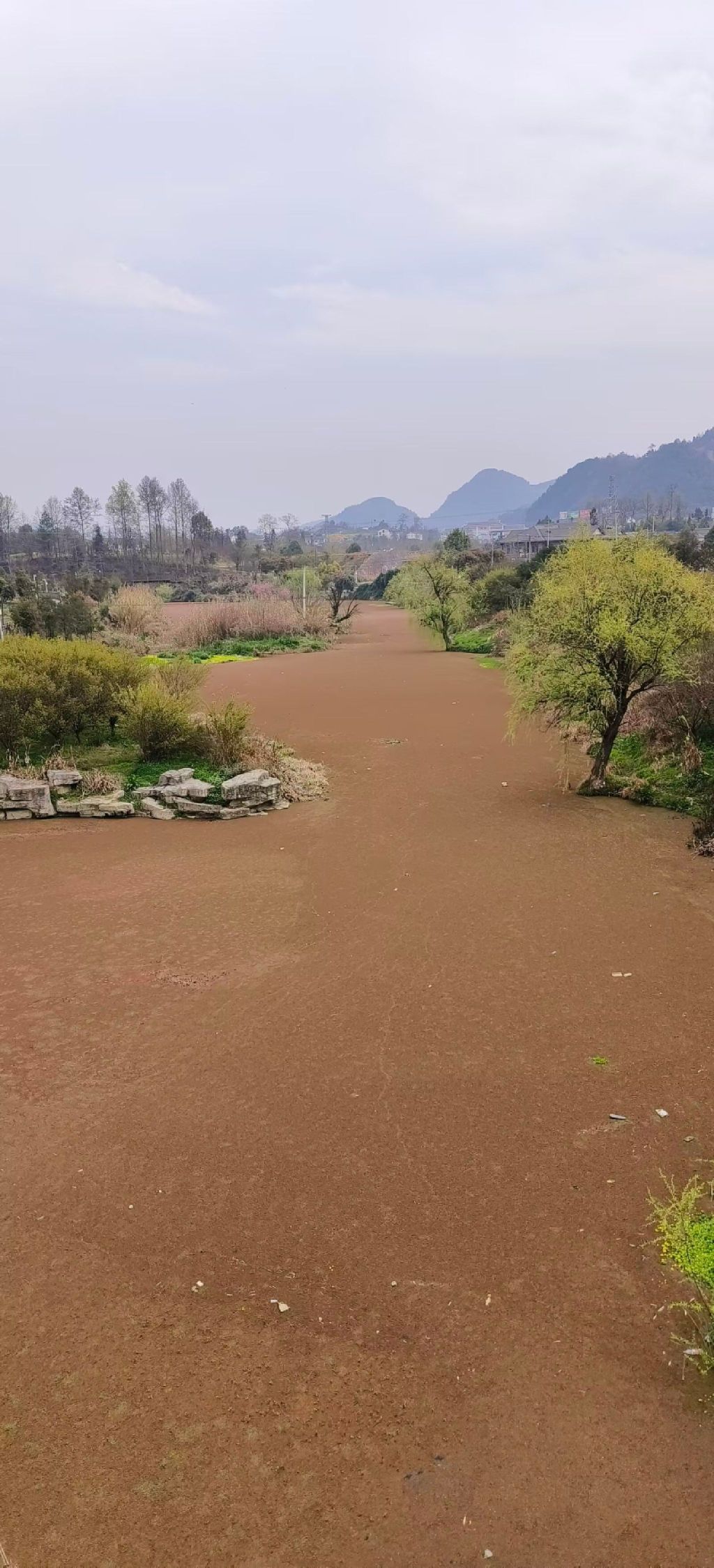 螺江九曲湿地公园旅行图片