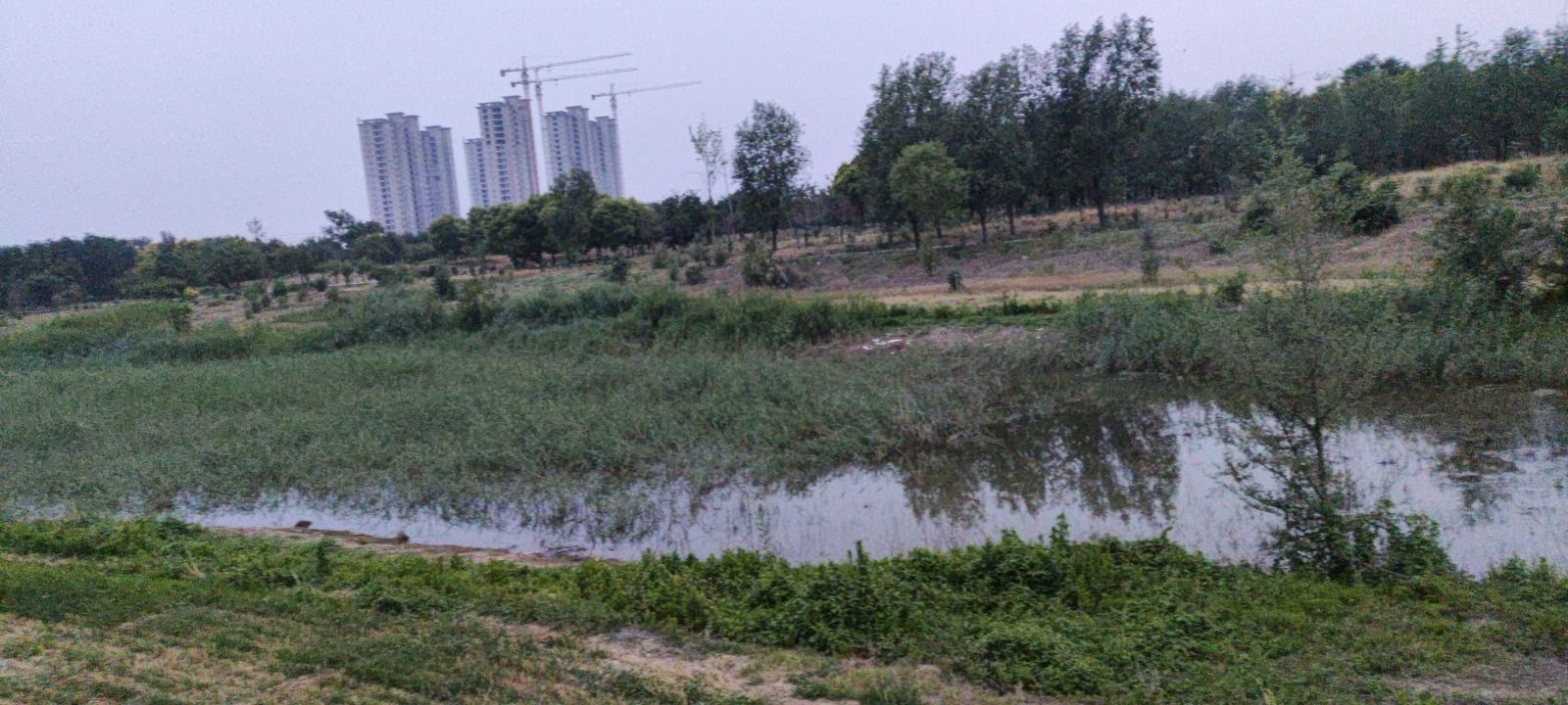 南湖公园