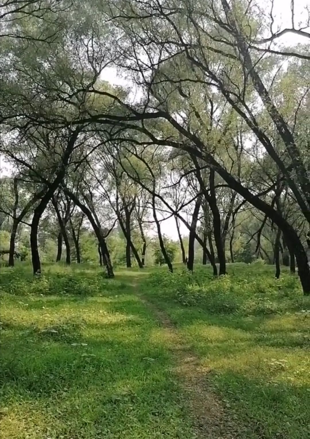 龙山水岸文化园