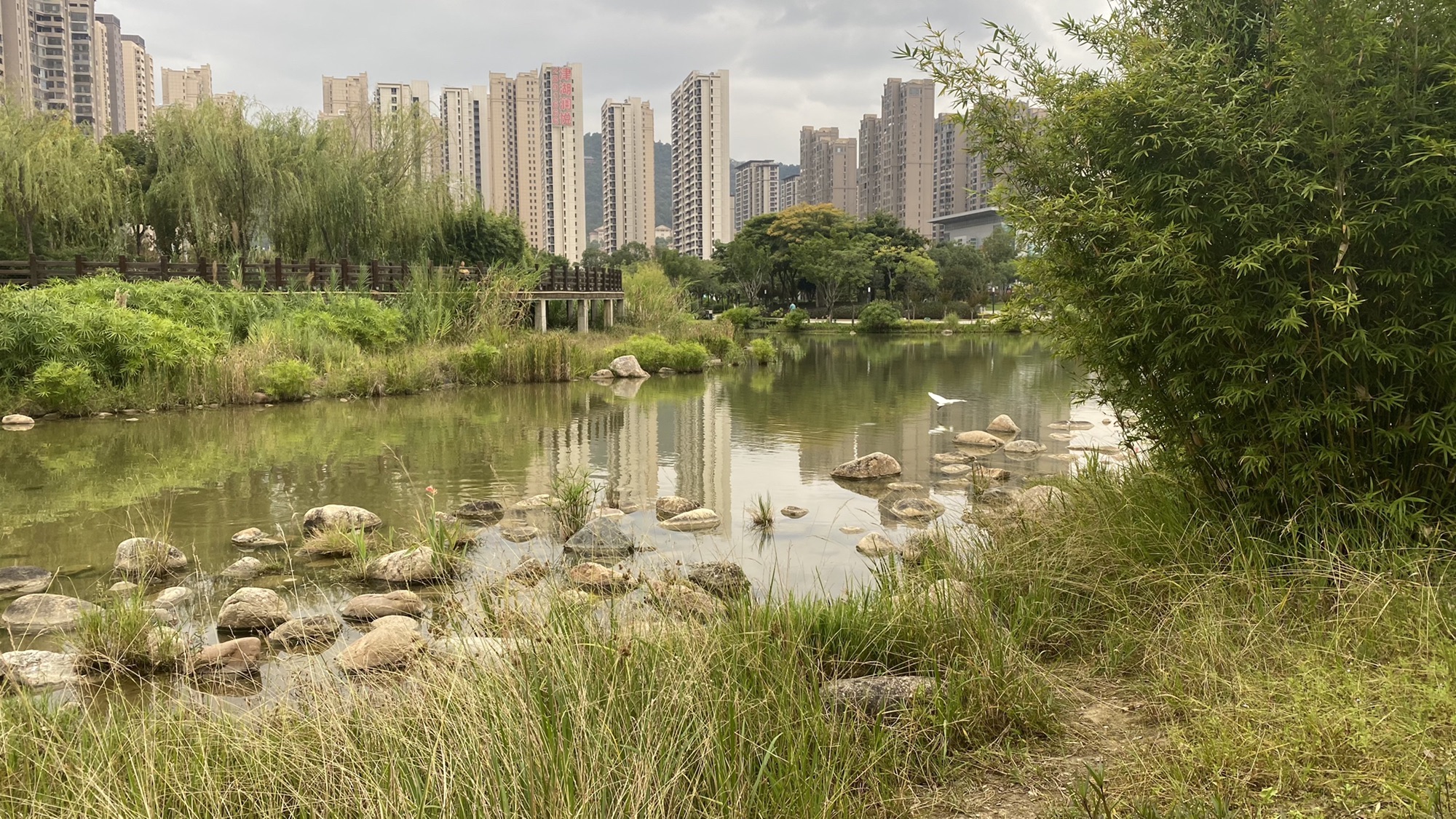 龙津湖公园旅行图片