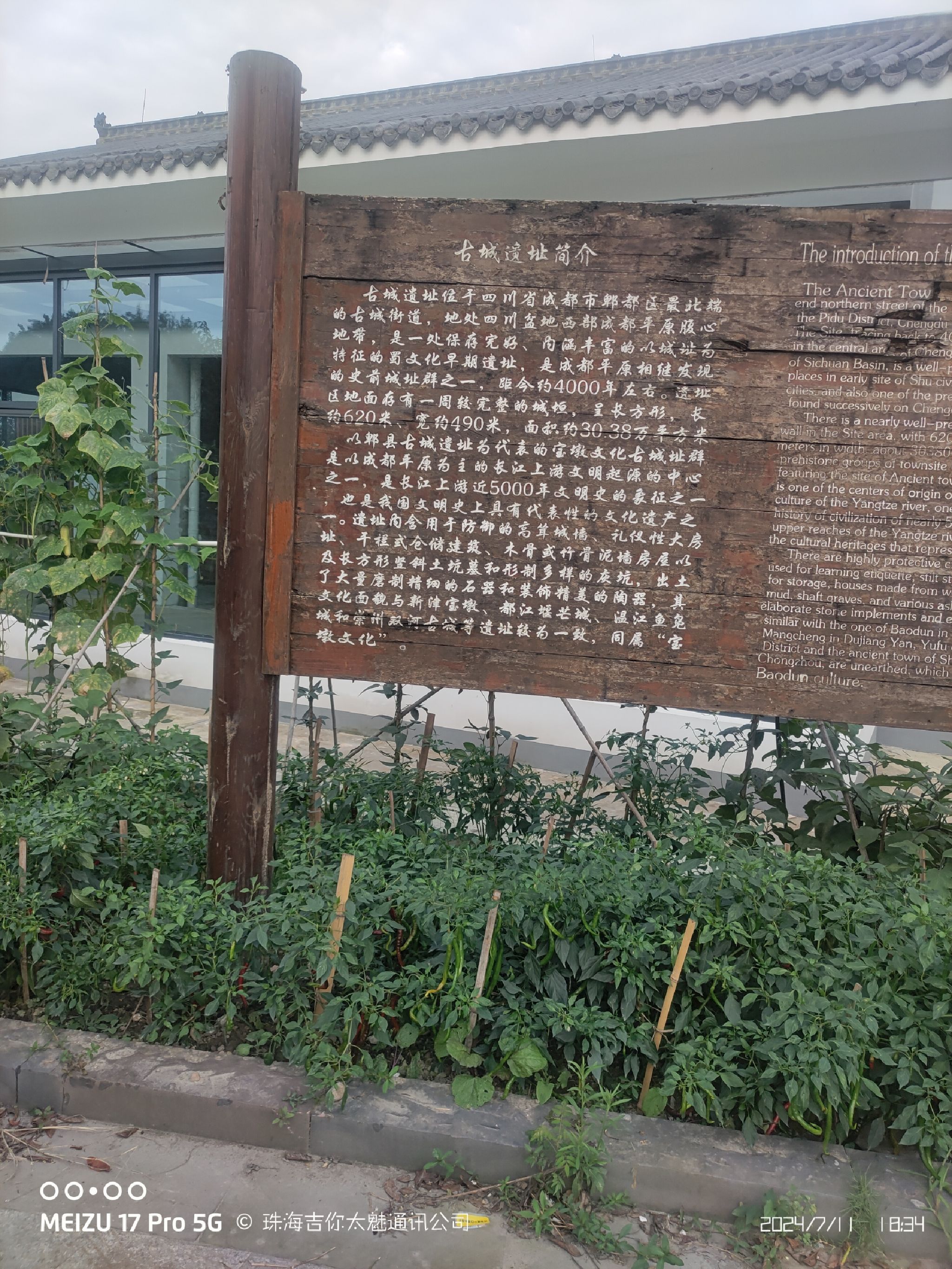郫县古城遗址旅行图片