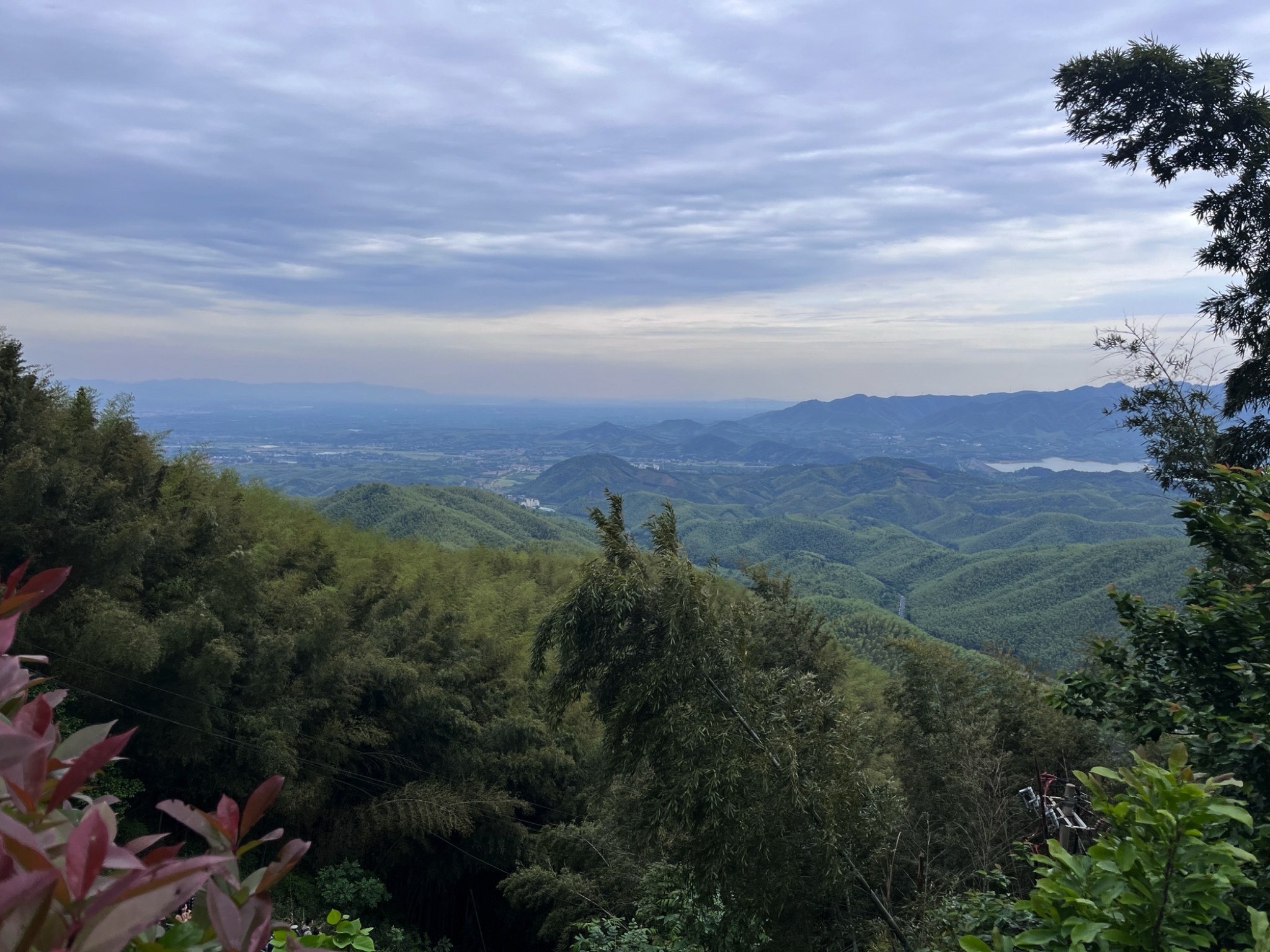 笄山竹海旅行图片