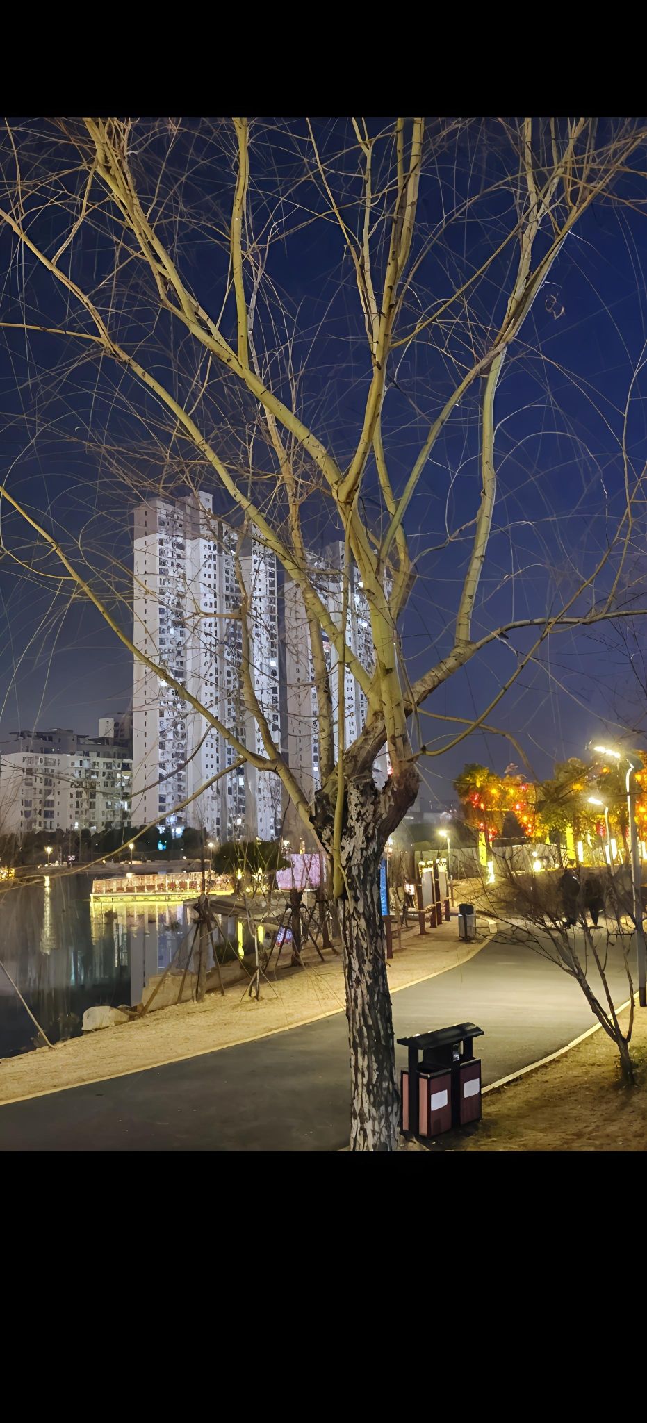 龙珠湖公园