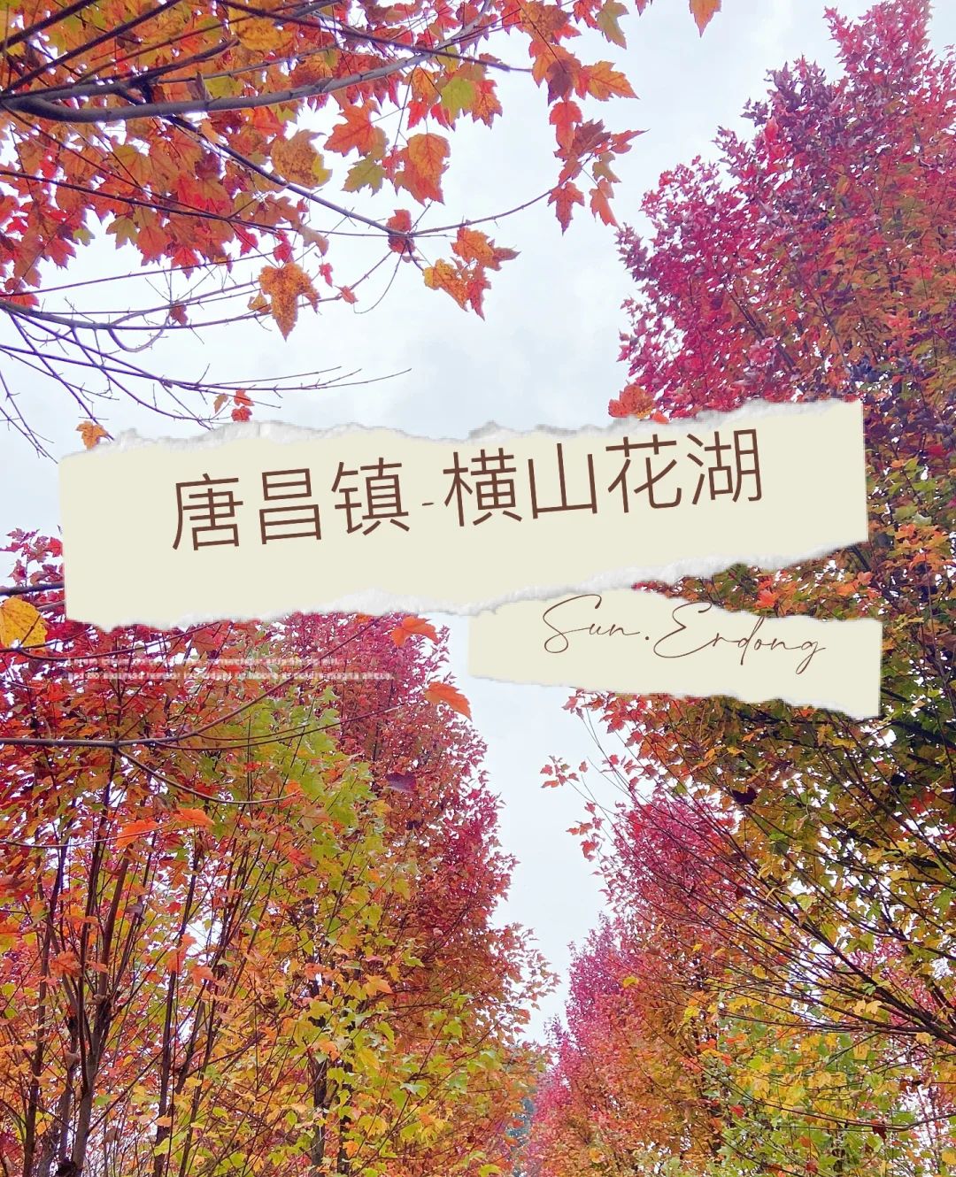 横山花湖景区旅行图片