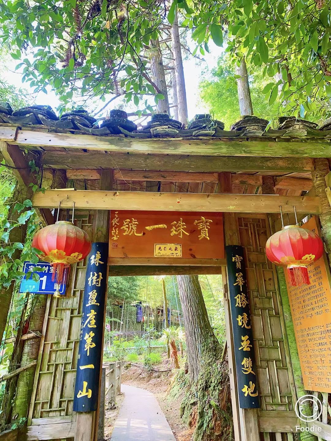 宝珠一号百合文化园