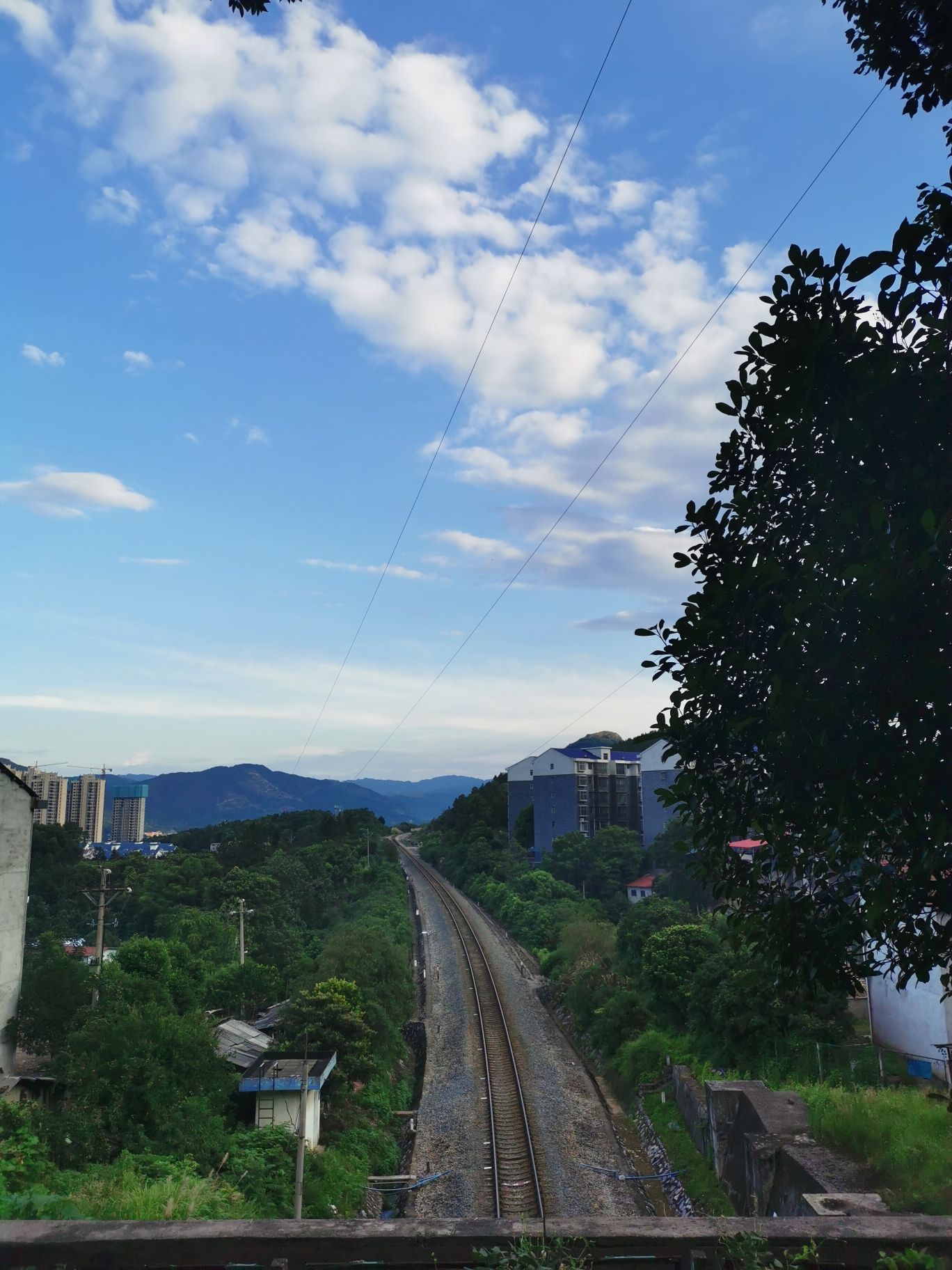 永山公园