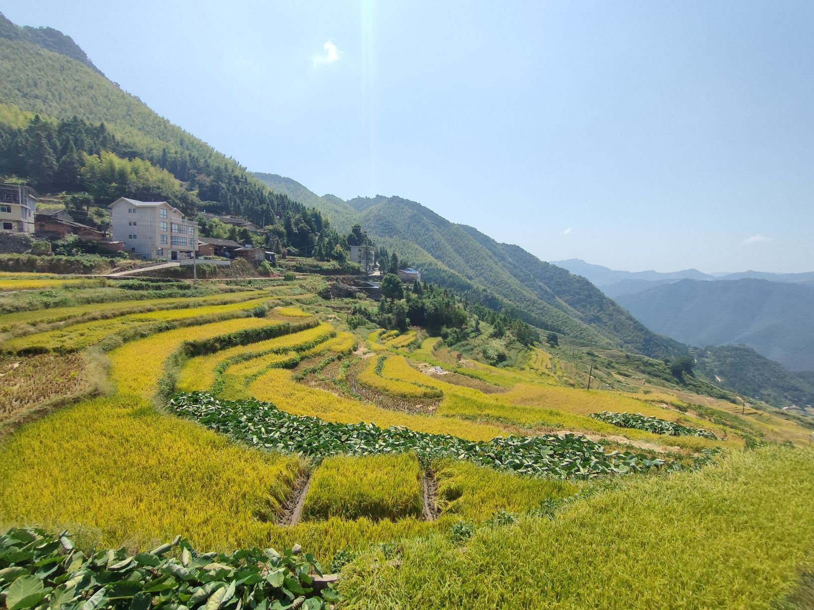 尤溪联合梯田
