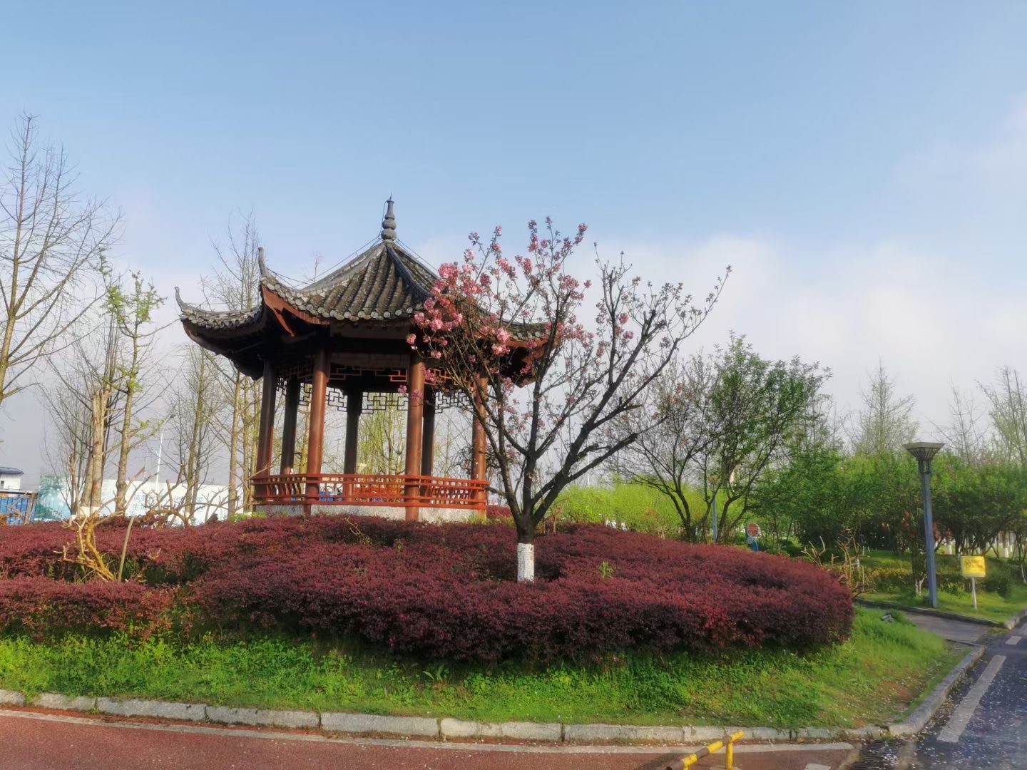 滨江公园旅行图片