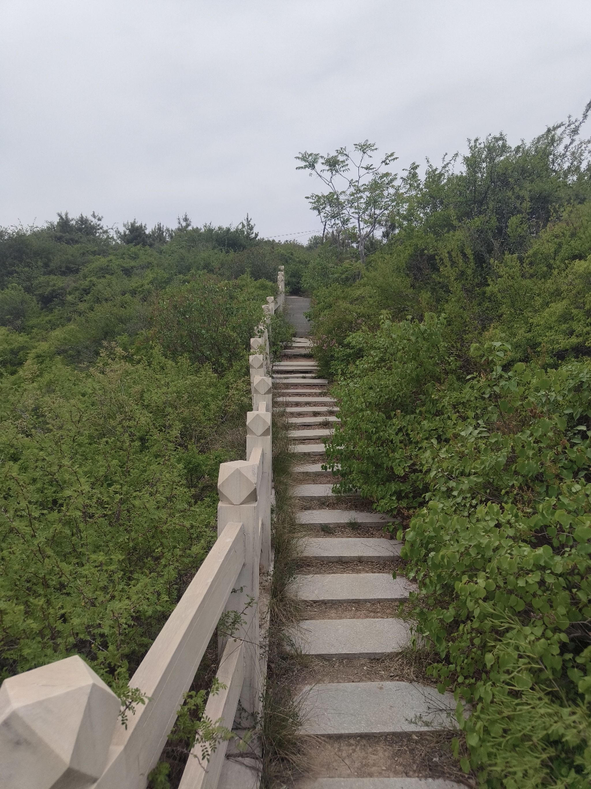 蒙山礼佛台旅行图片