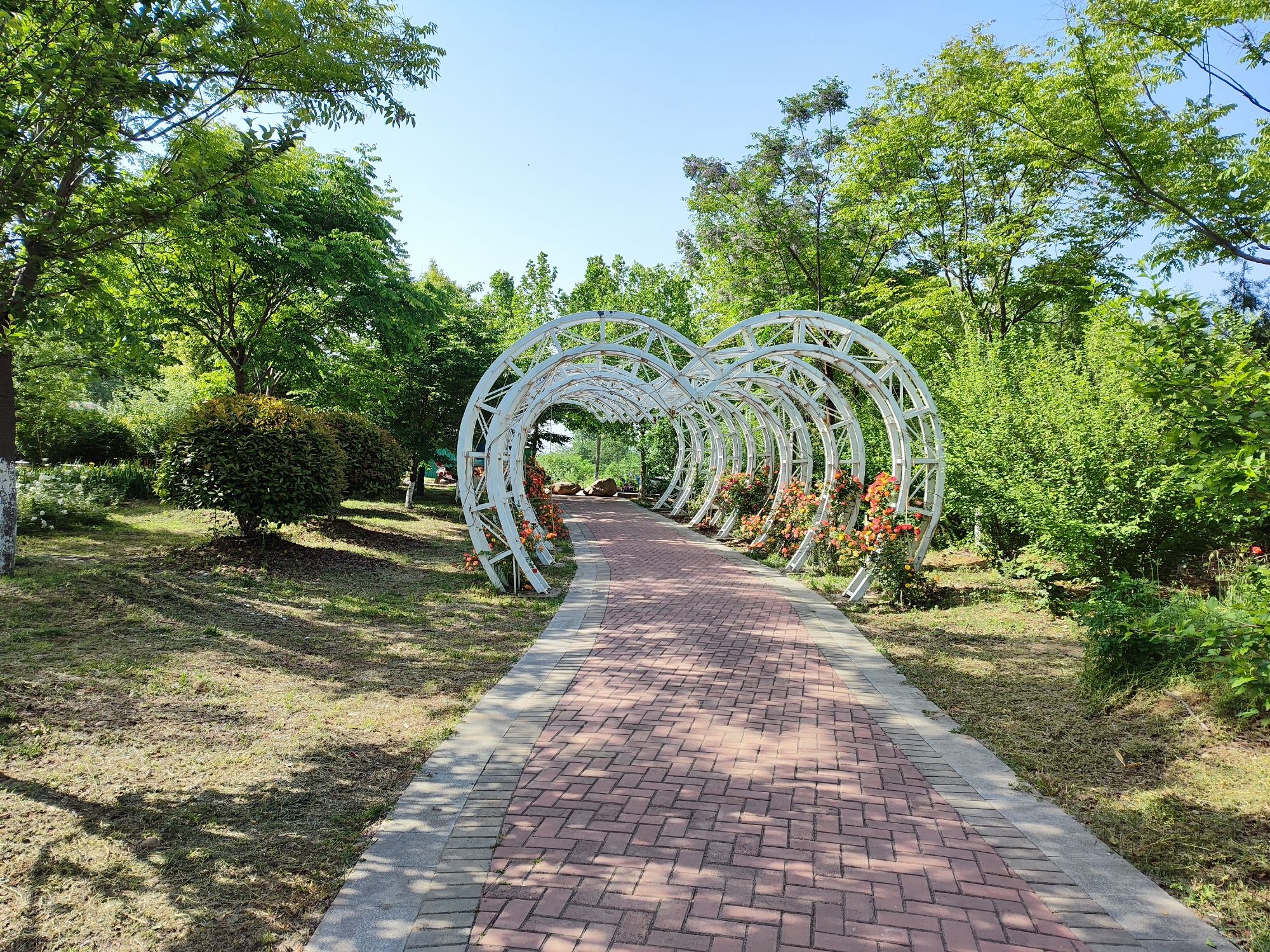 赵河双拥公园旅行图片