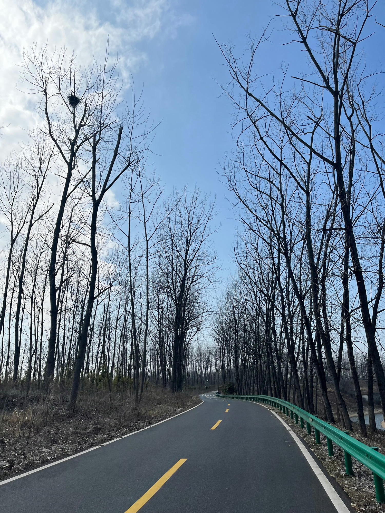 庐阳区三十岗生态农业旅游区