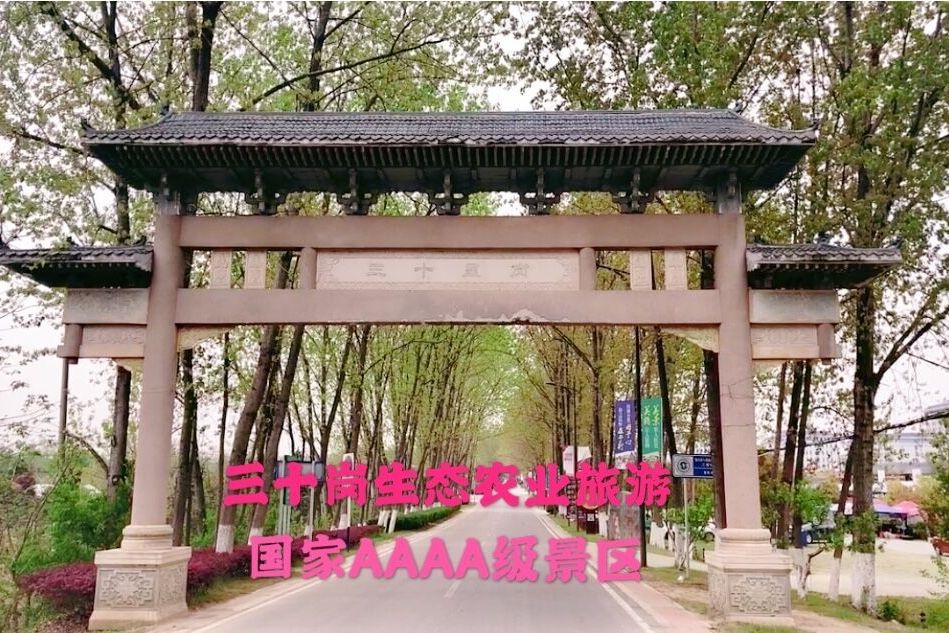 庐阳区三十岗生态农业旅游区旅行图片