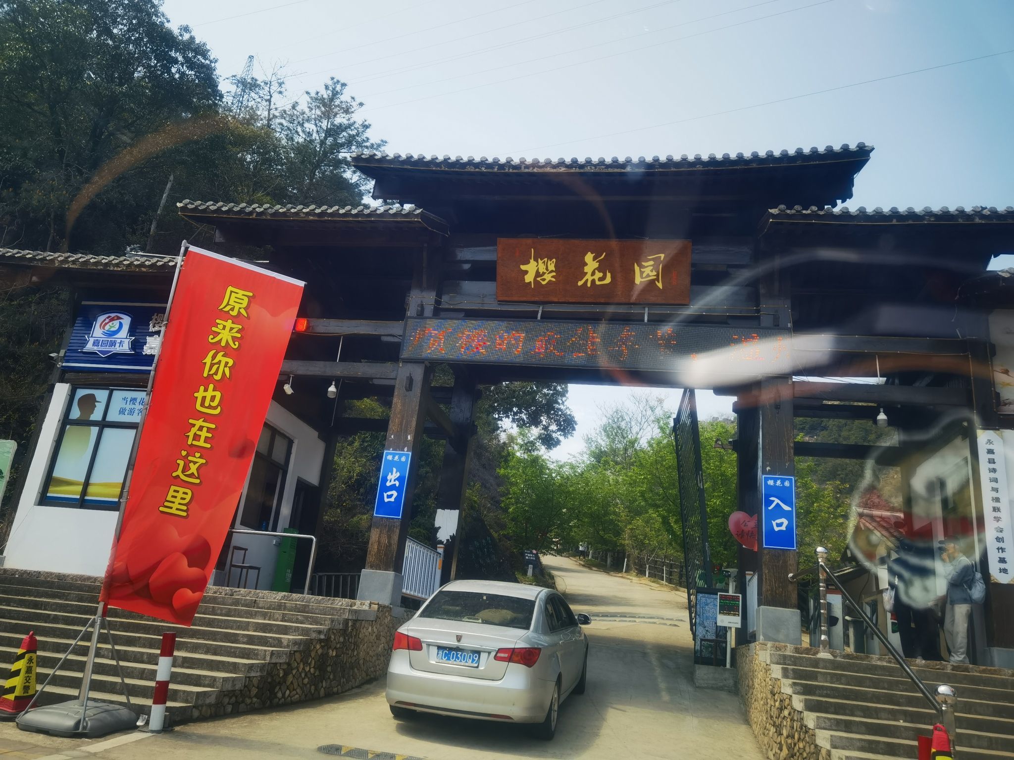 温州樱花园旅行图片