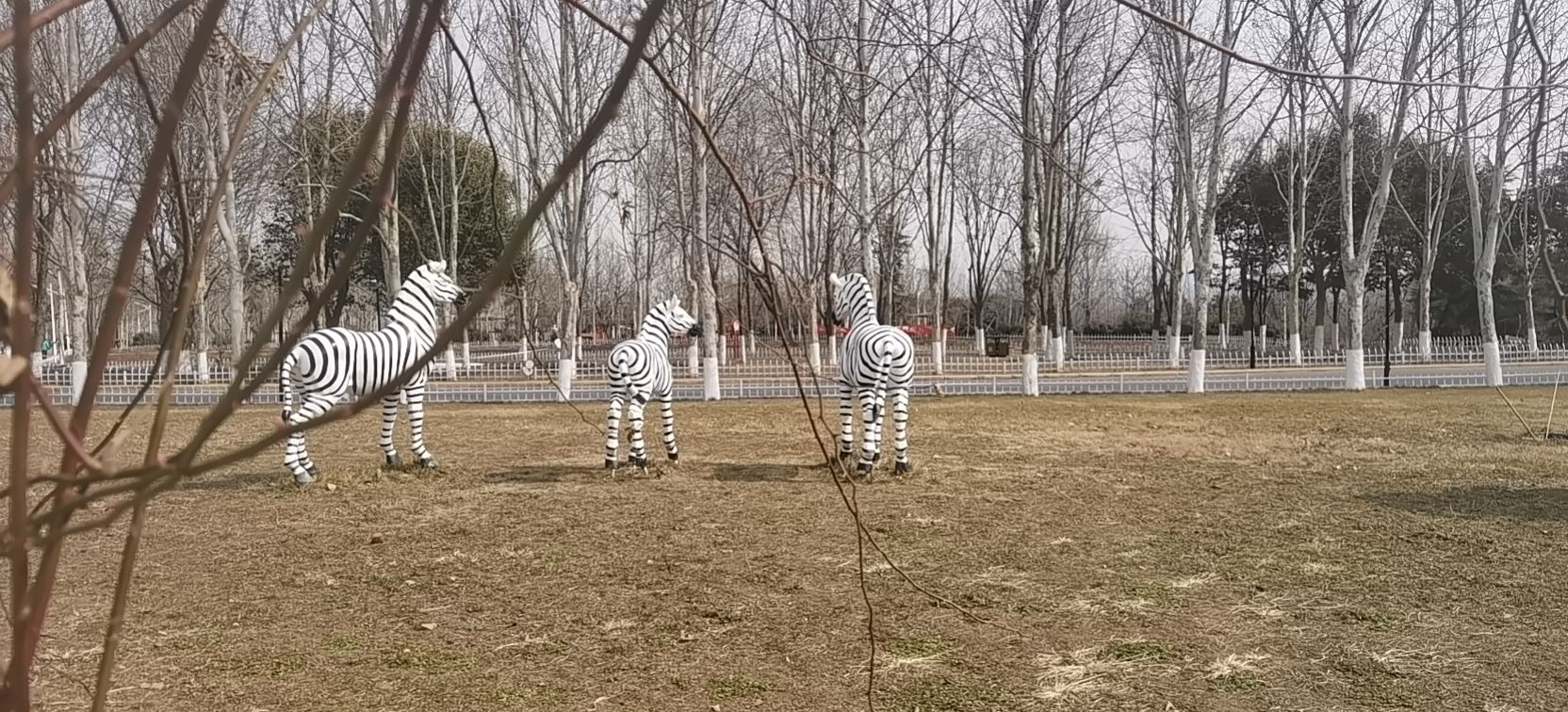 郑州文博森林公园