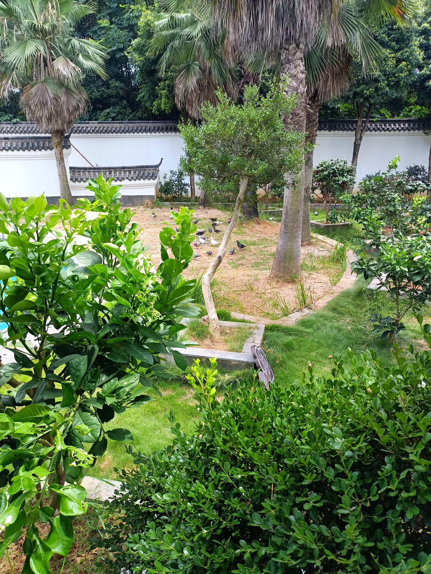 曹家大院