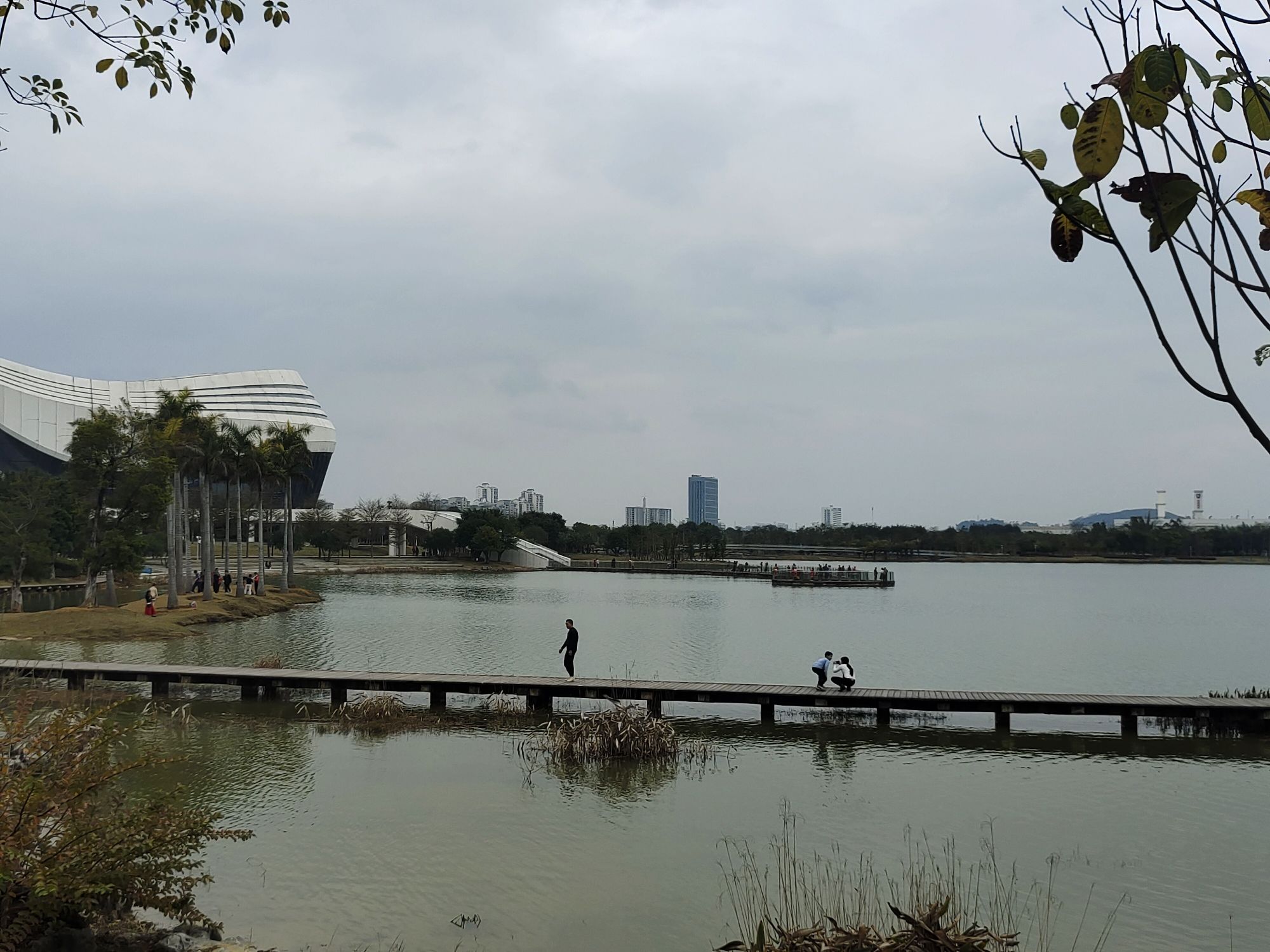 龙湖公园