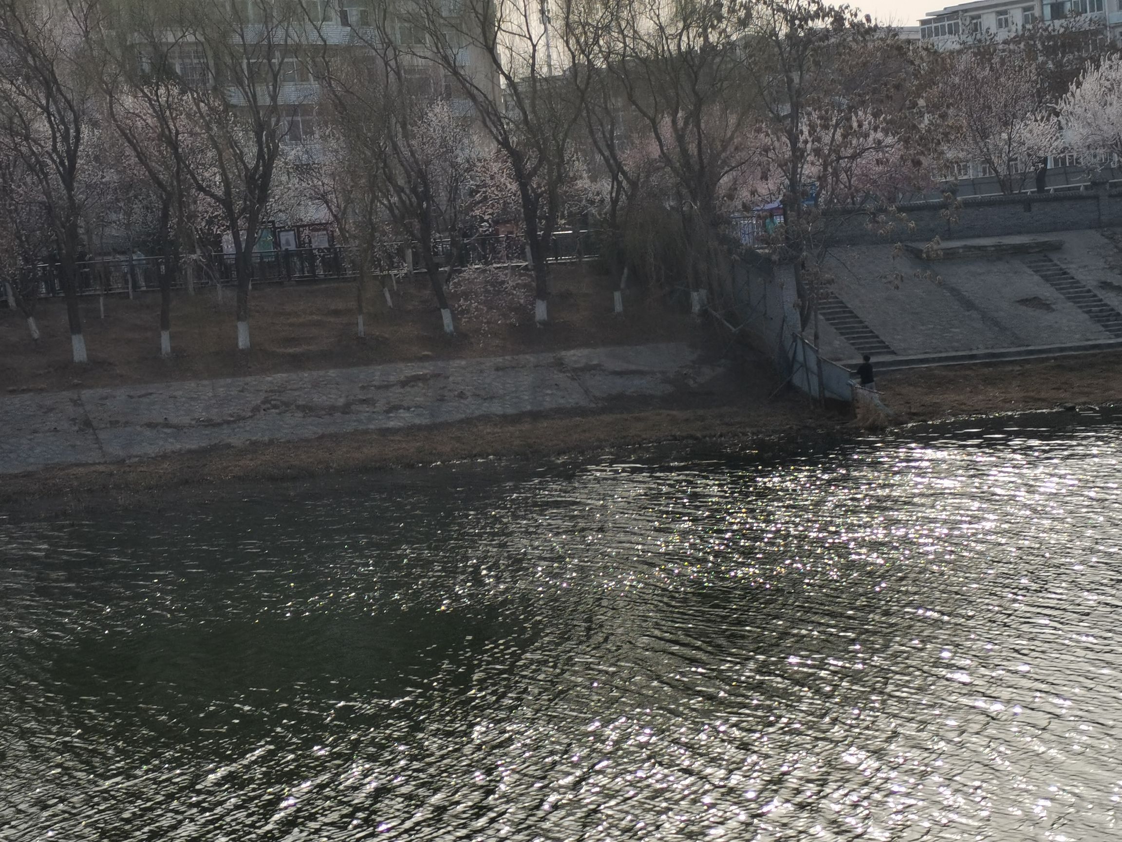 北运河公园