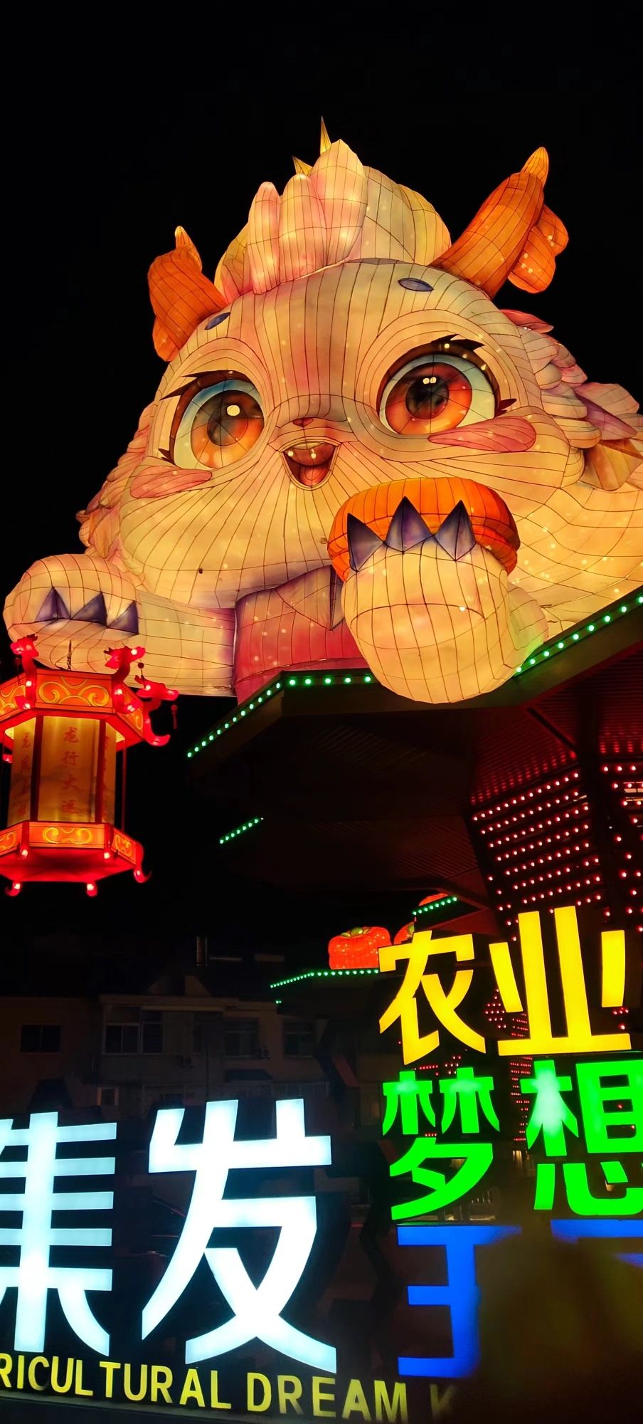 集发农业梦想王国旅行图片