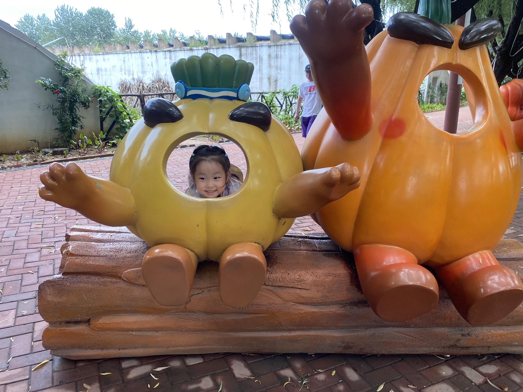 集发农业梦想王国旅行图片