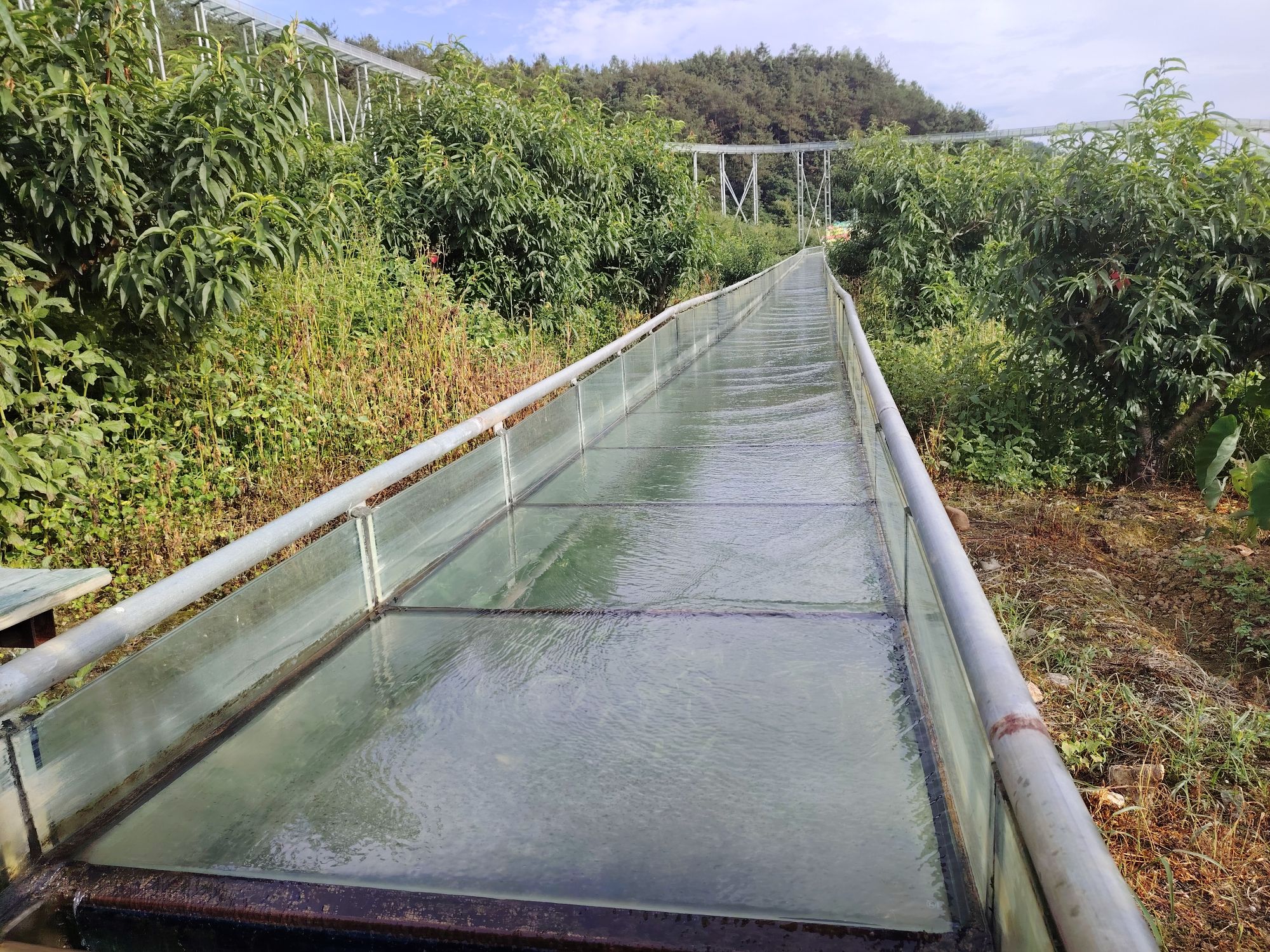 桃源里旅游度假区