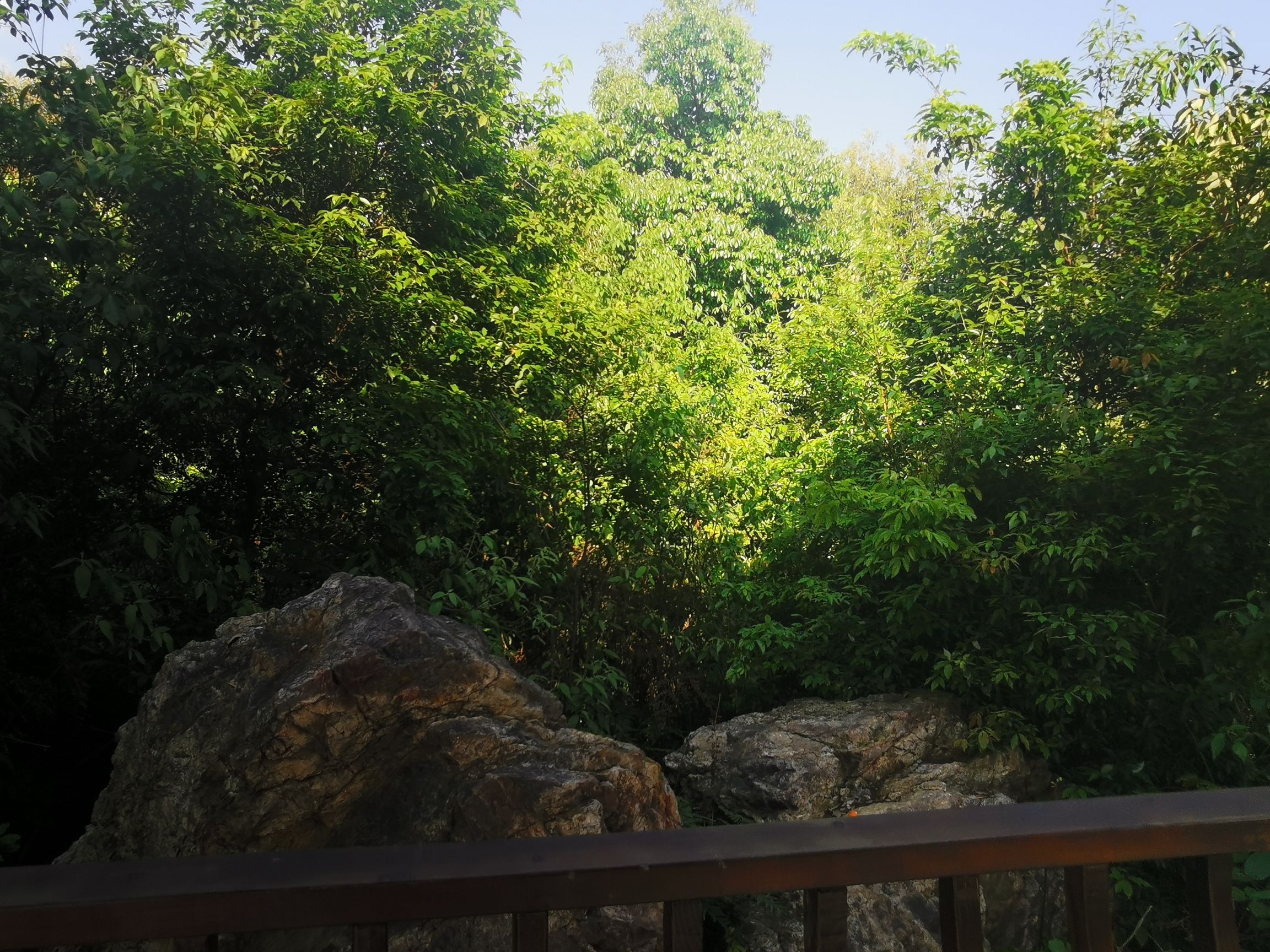 宜章县石虎山景区旅行图片