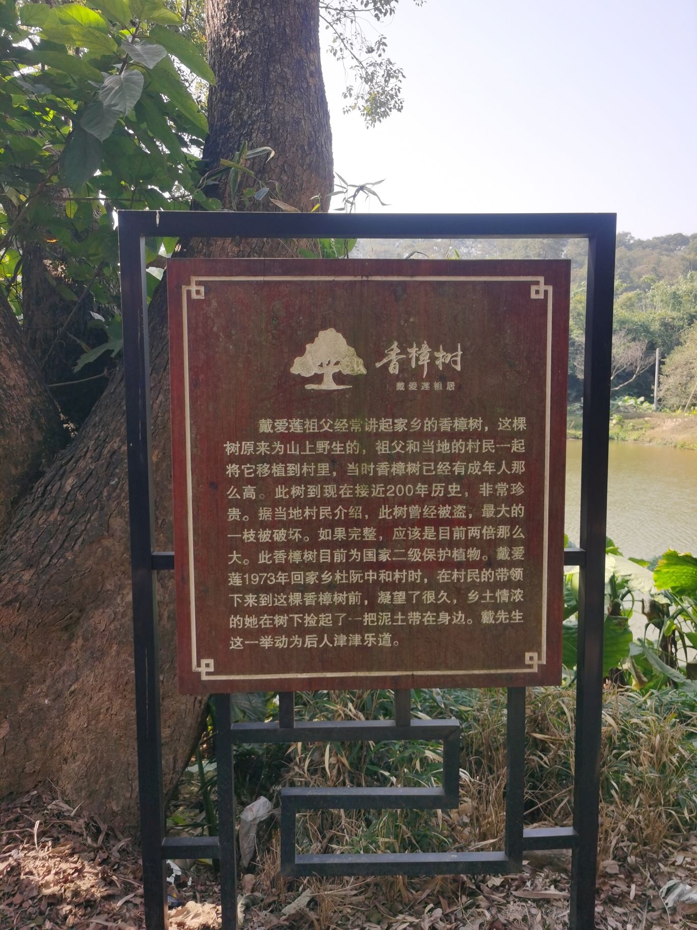 戴爱莲故居旅行图片