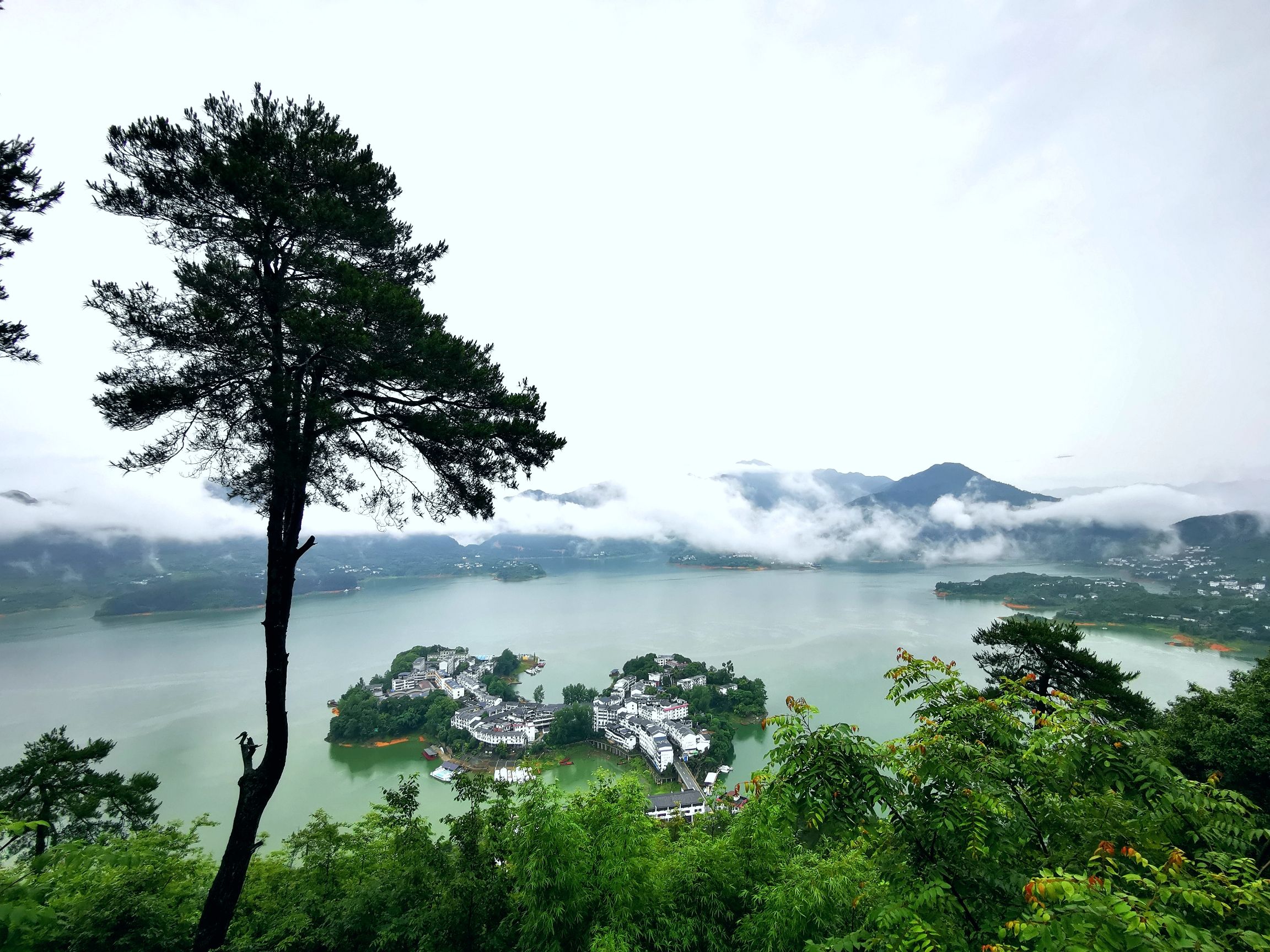 黄草镇金牛岛旅行图片