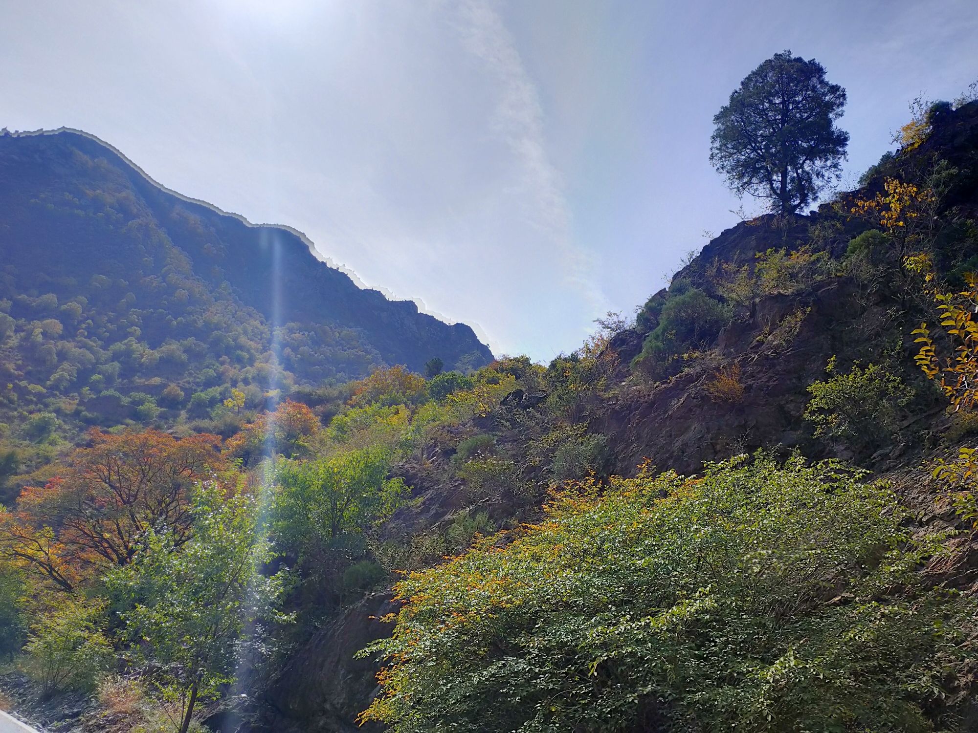 九峰山生态旅游景区(暂停开放)旅行图片