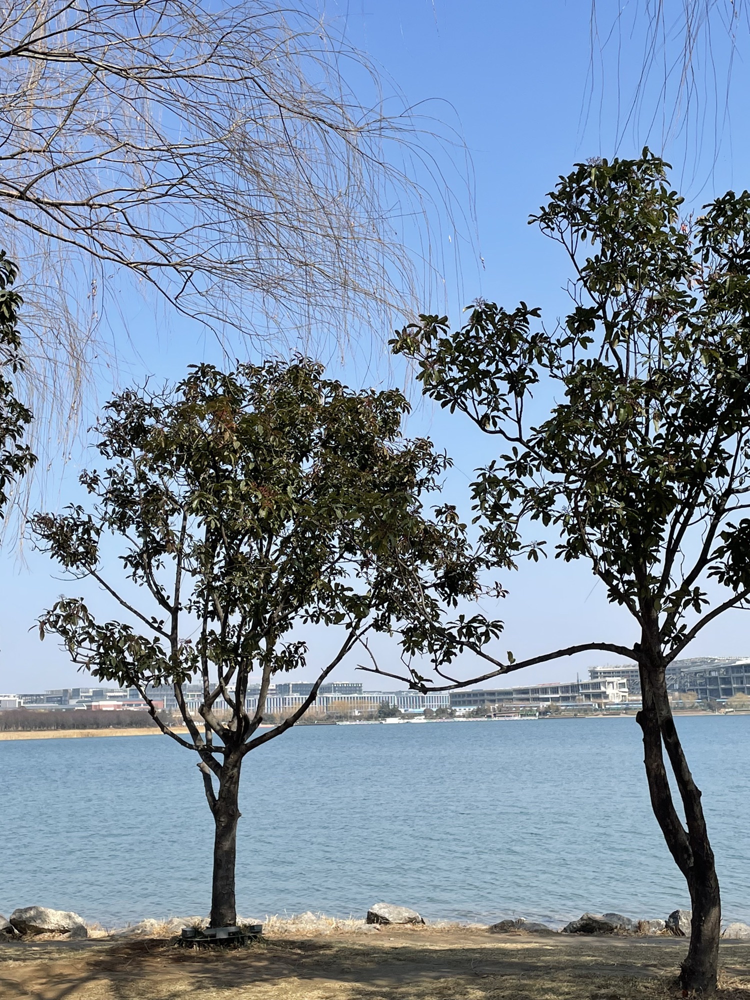 郑州市森林公园