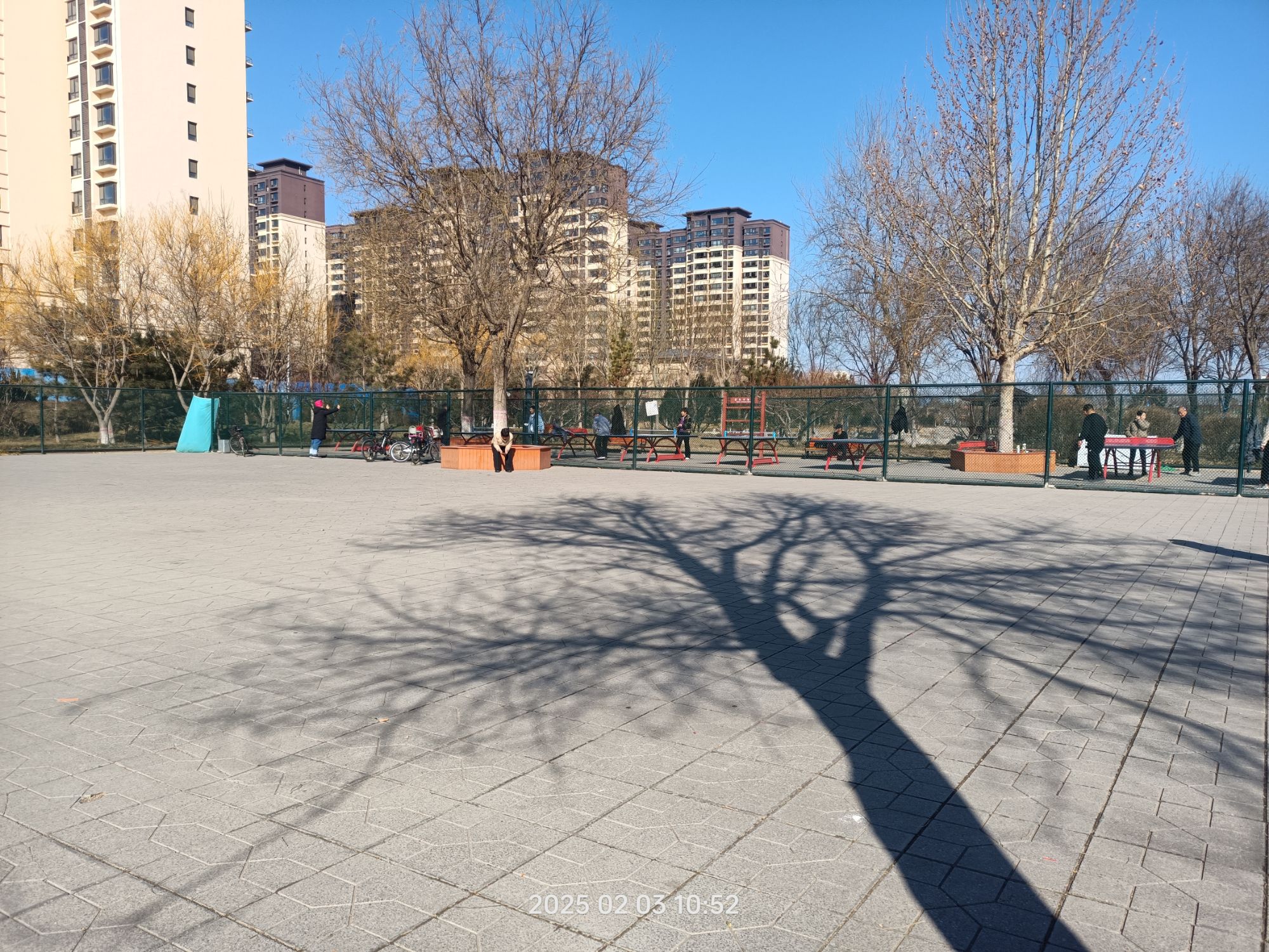 民乐园旅行图片