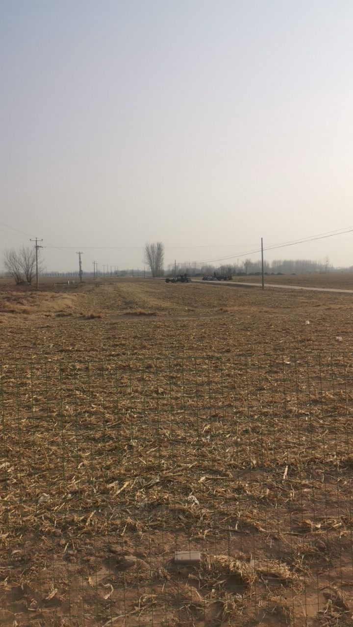 汉城安陵旅游风景区