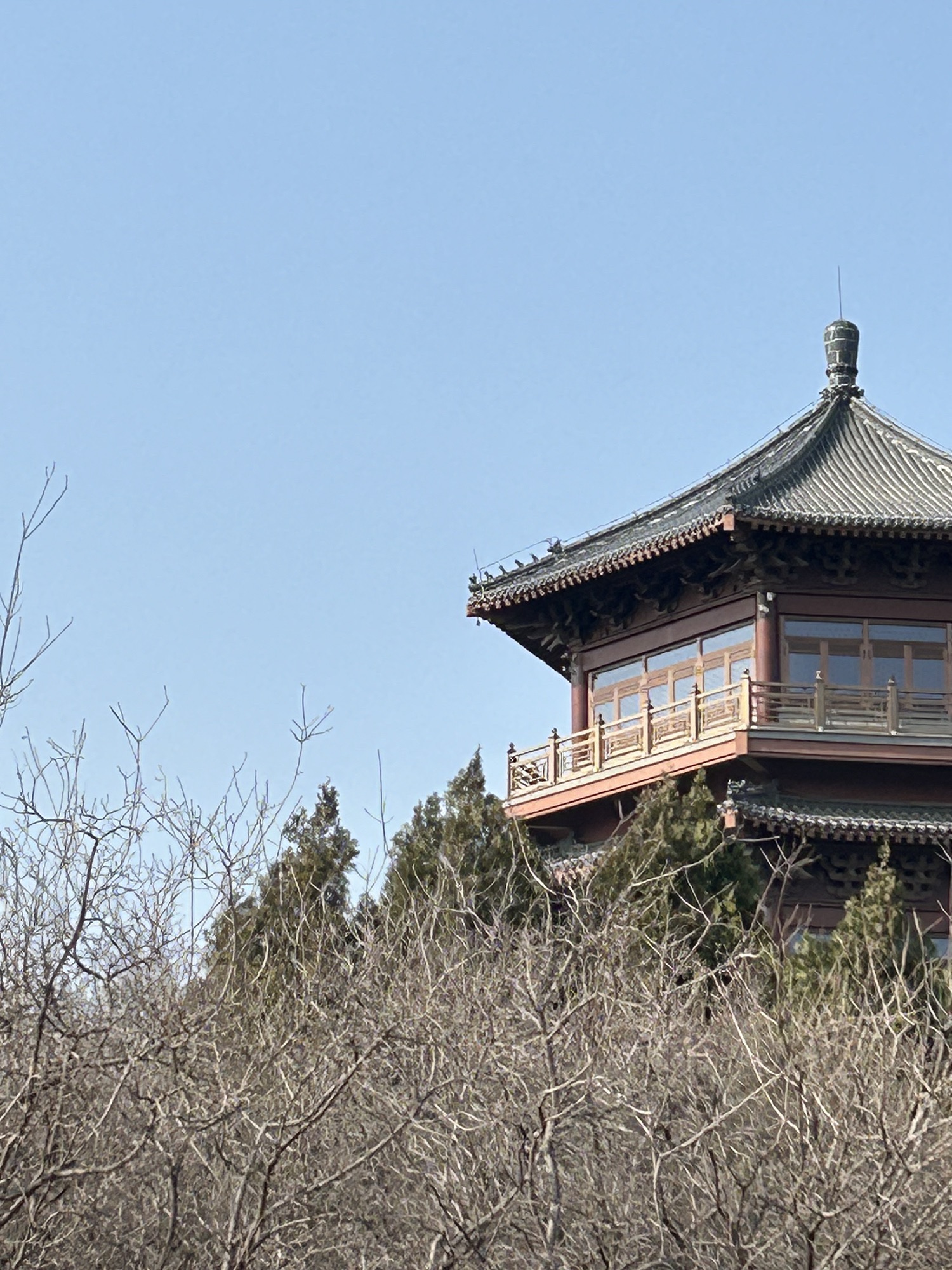 东山湿地公园
