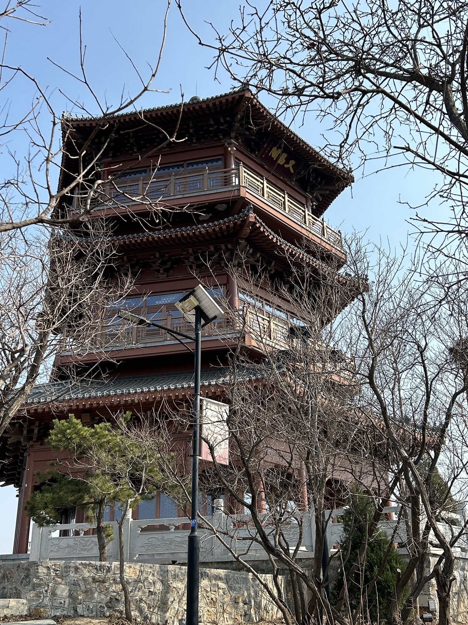 东山湿地公园旅行图片
