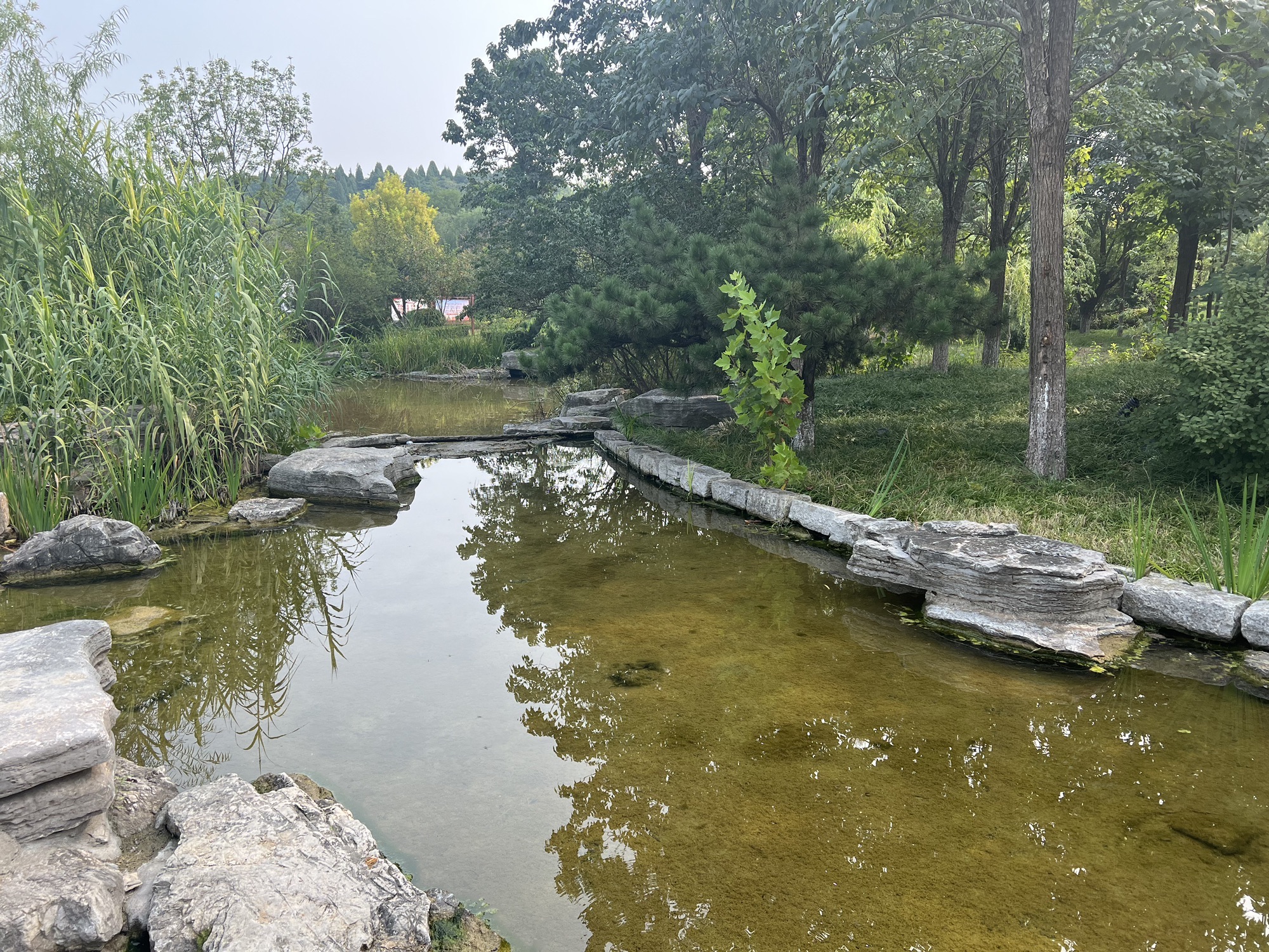 东山湿地公园旅行图片