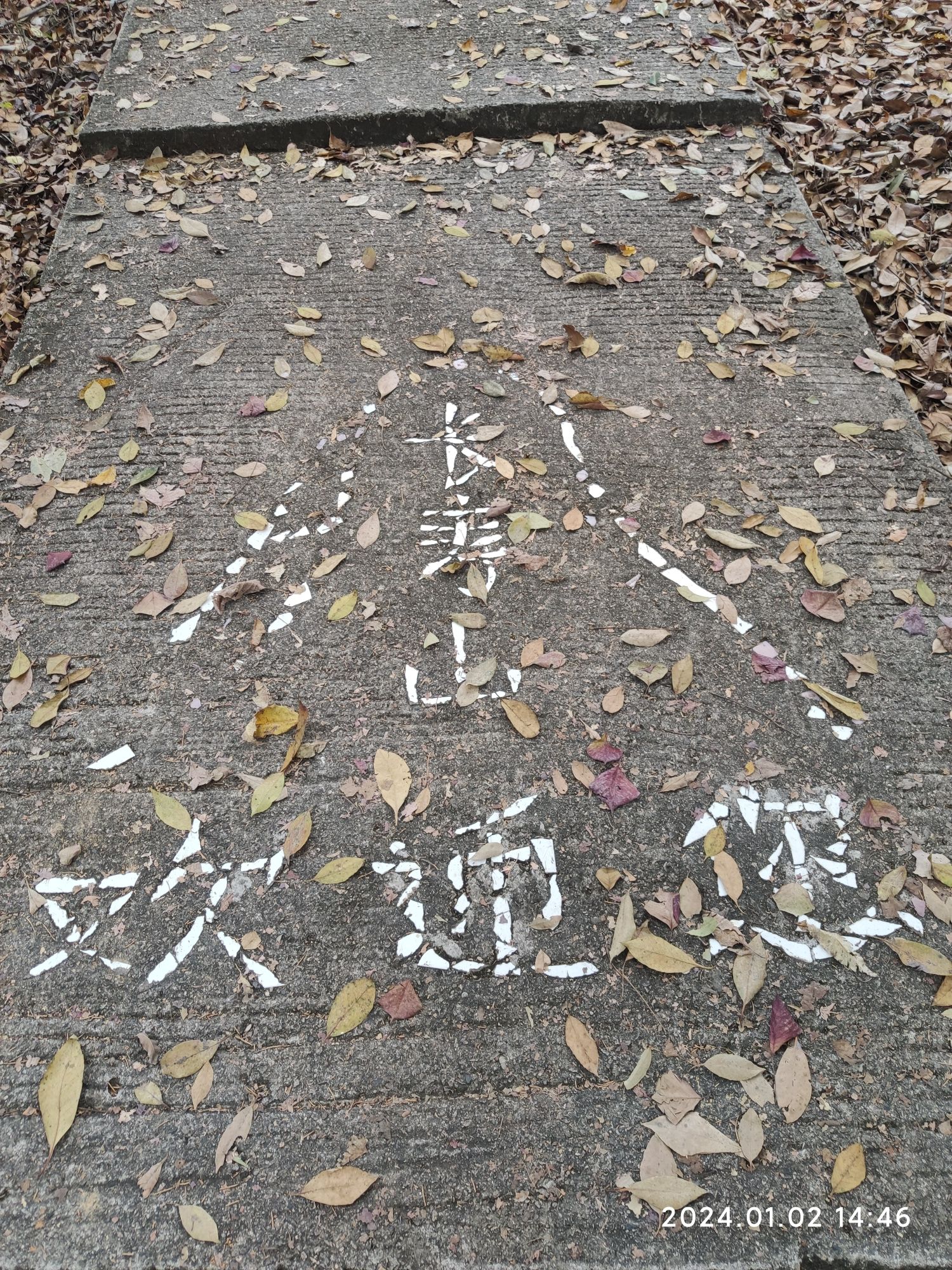 丙村长寿山森林公园