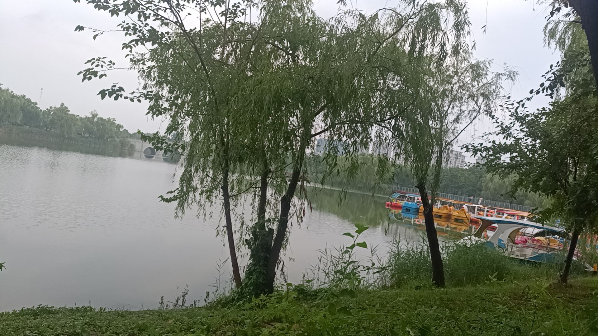 睢宁公园