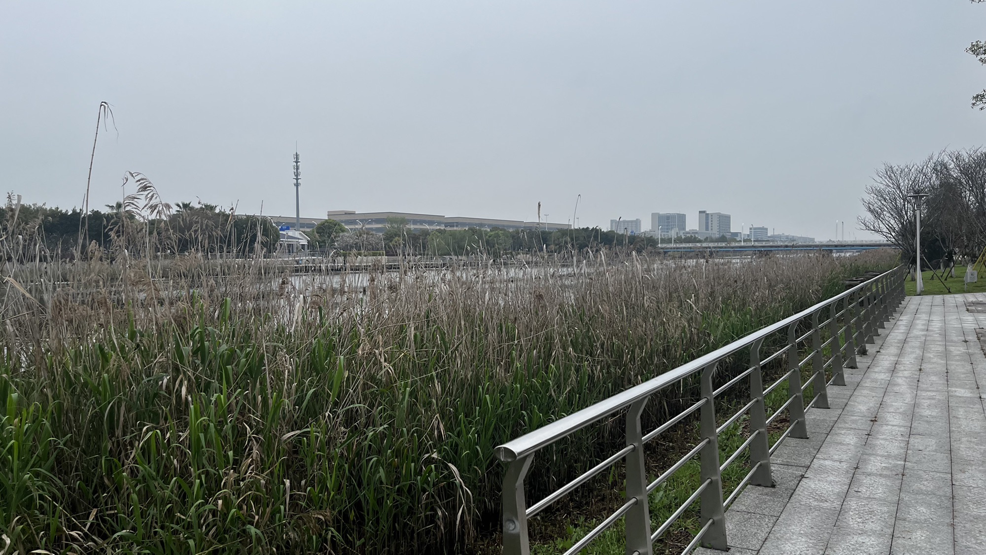 十里樱花园旅行图片