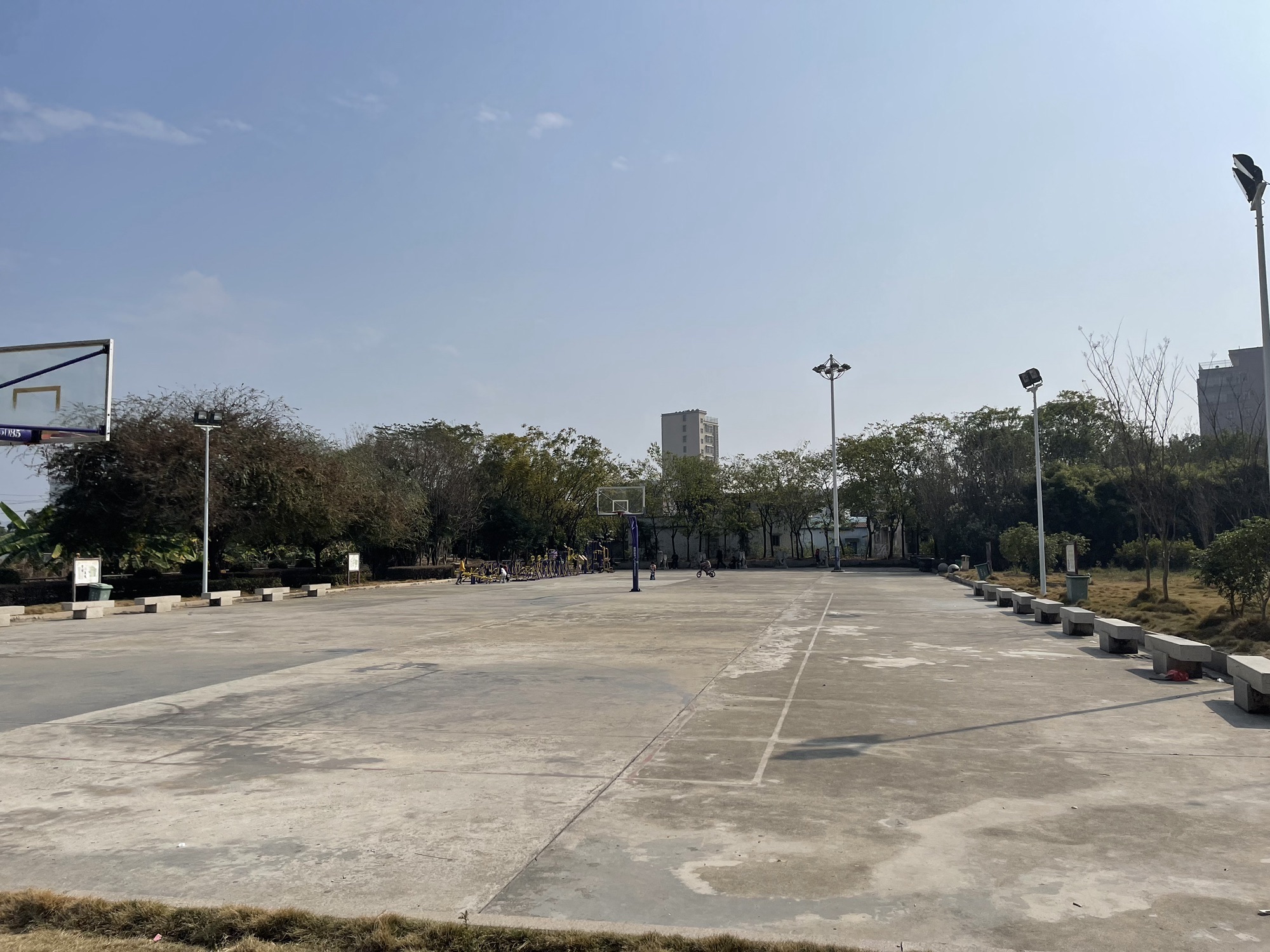 湖东公园