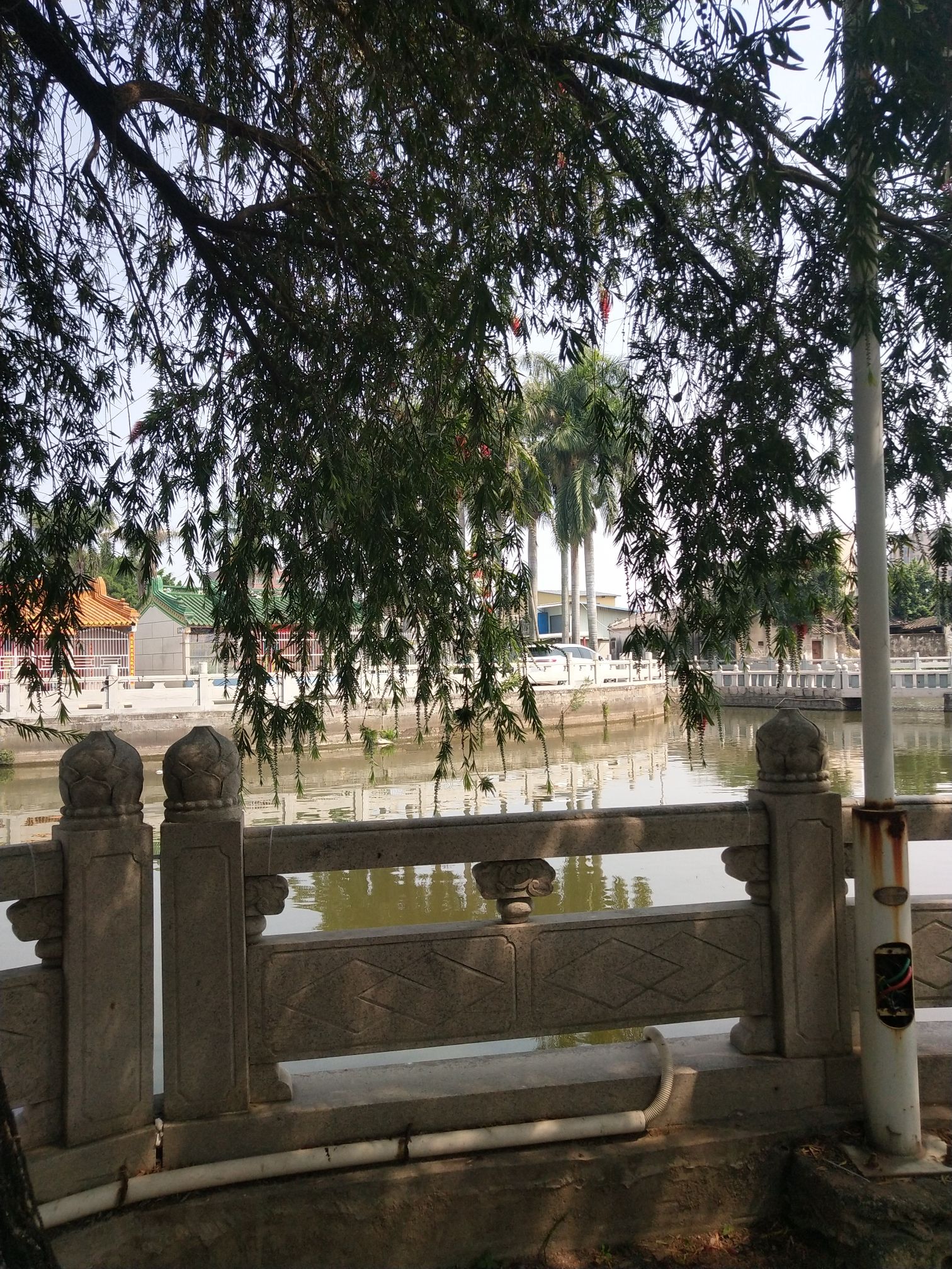 湖东公园旅行图片