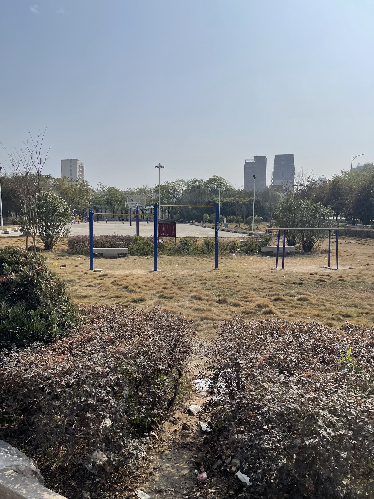 湖东公园旅行图片