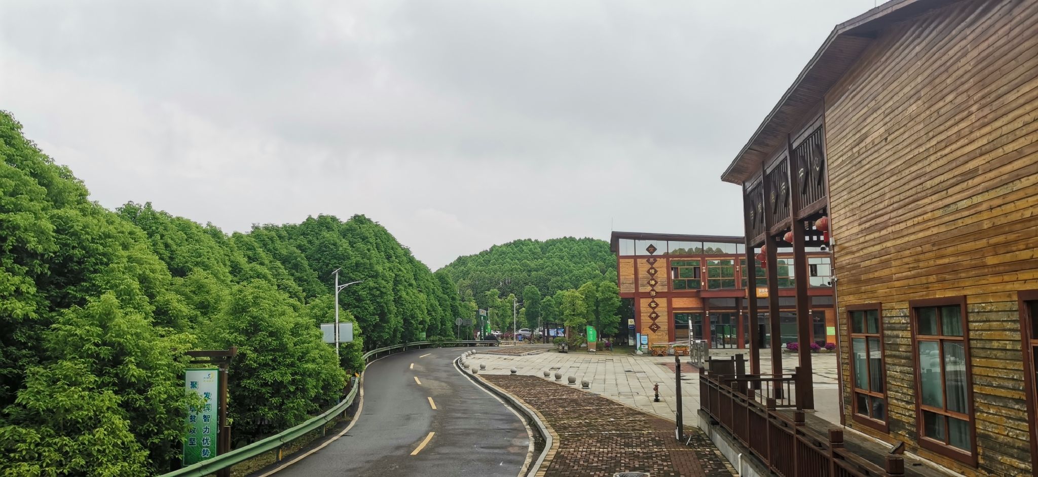 世界樟海旅行图片