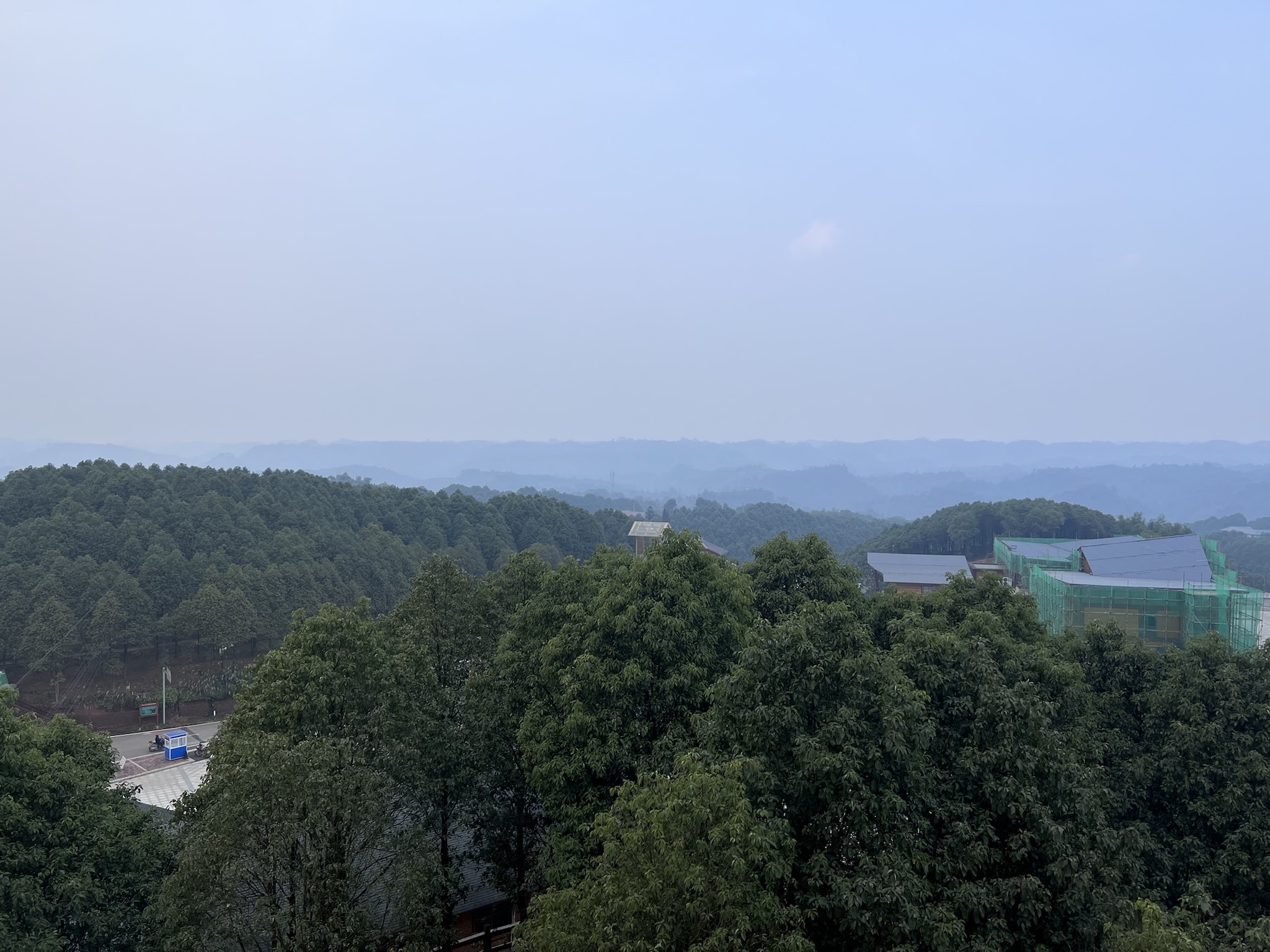 世界樟海旅行图片
