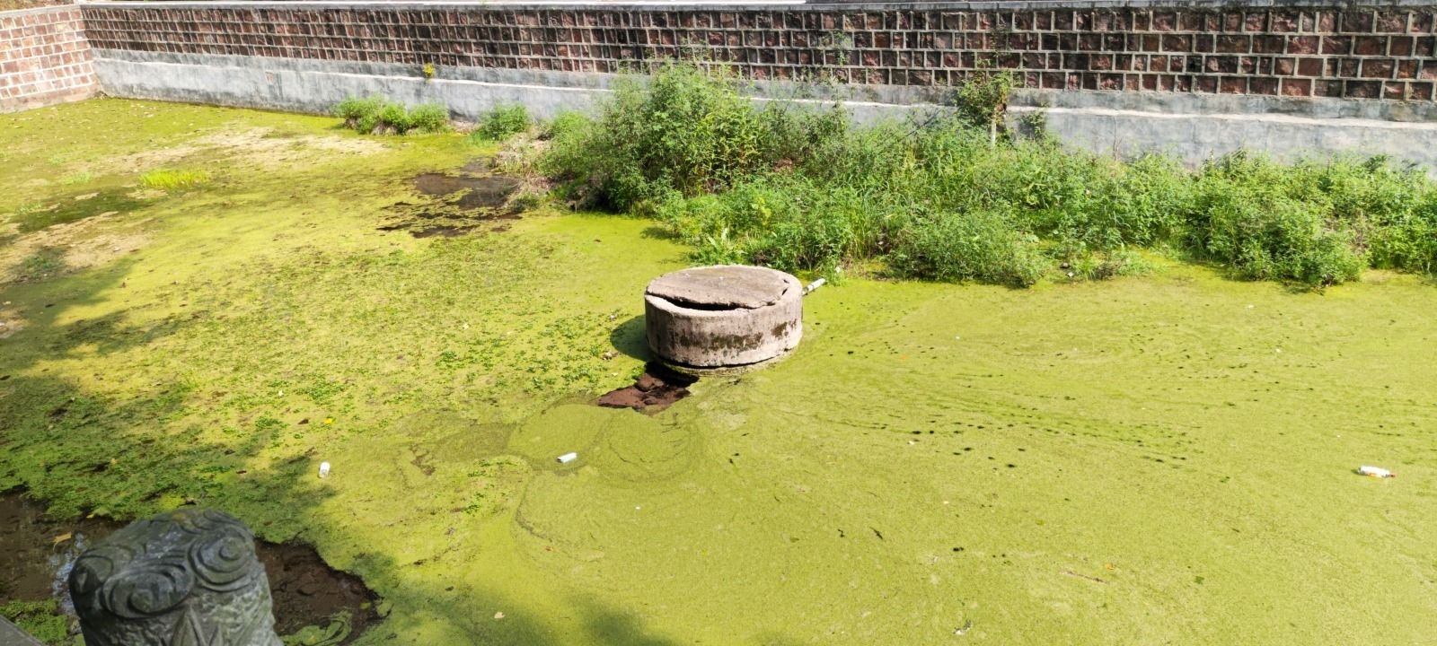 珍珠泉